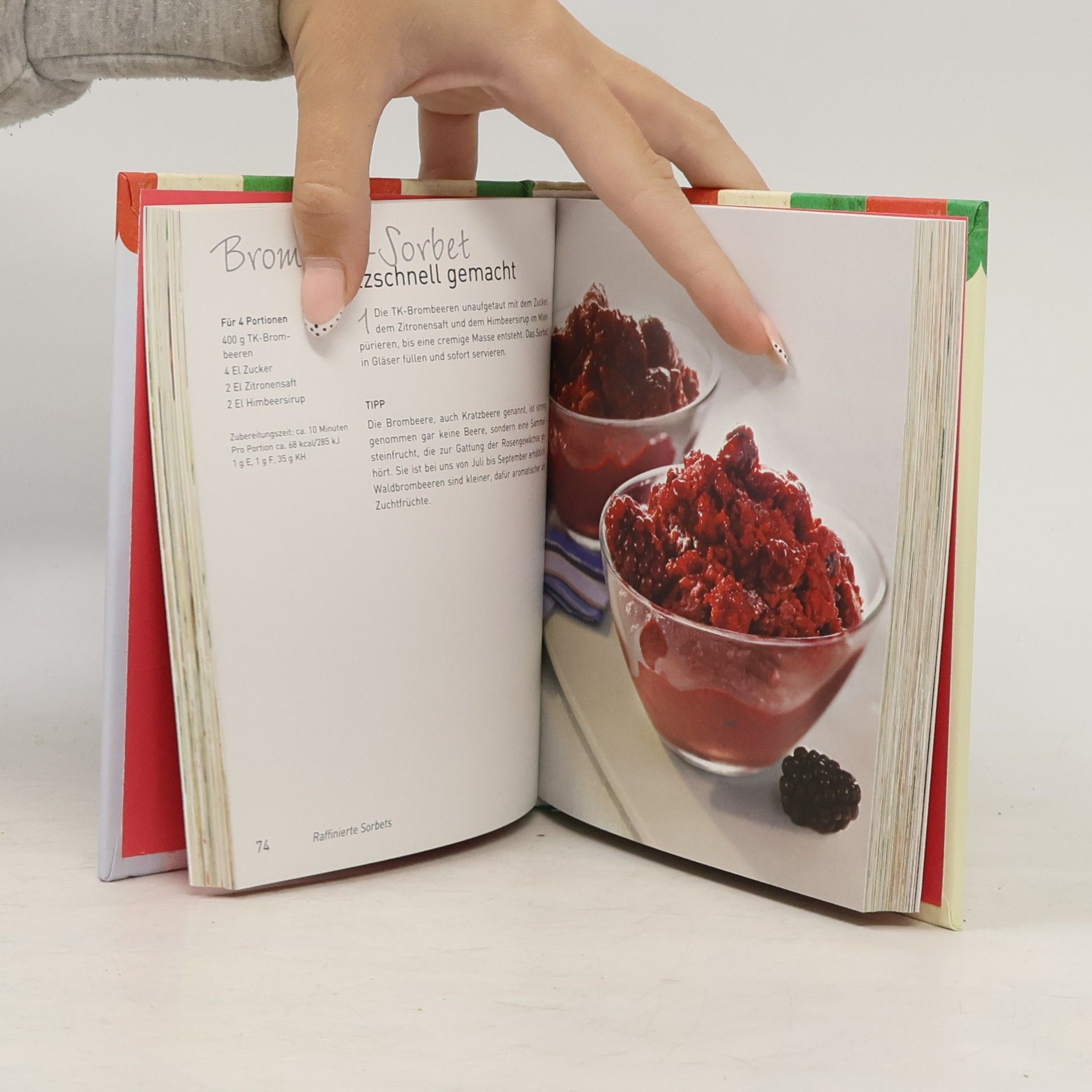 Autorenkollektiv Eis & Sorbets