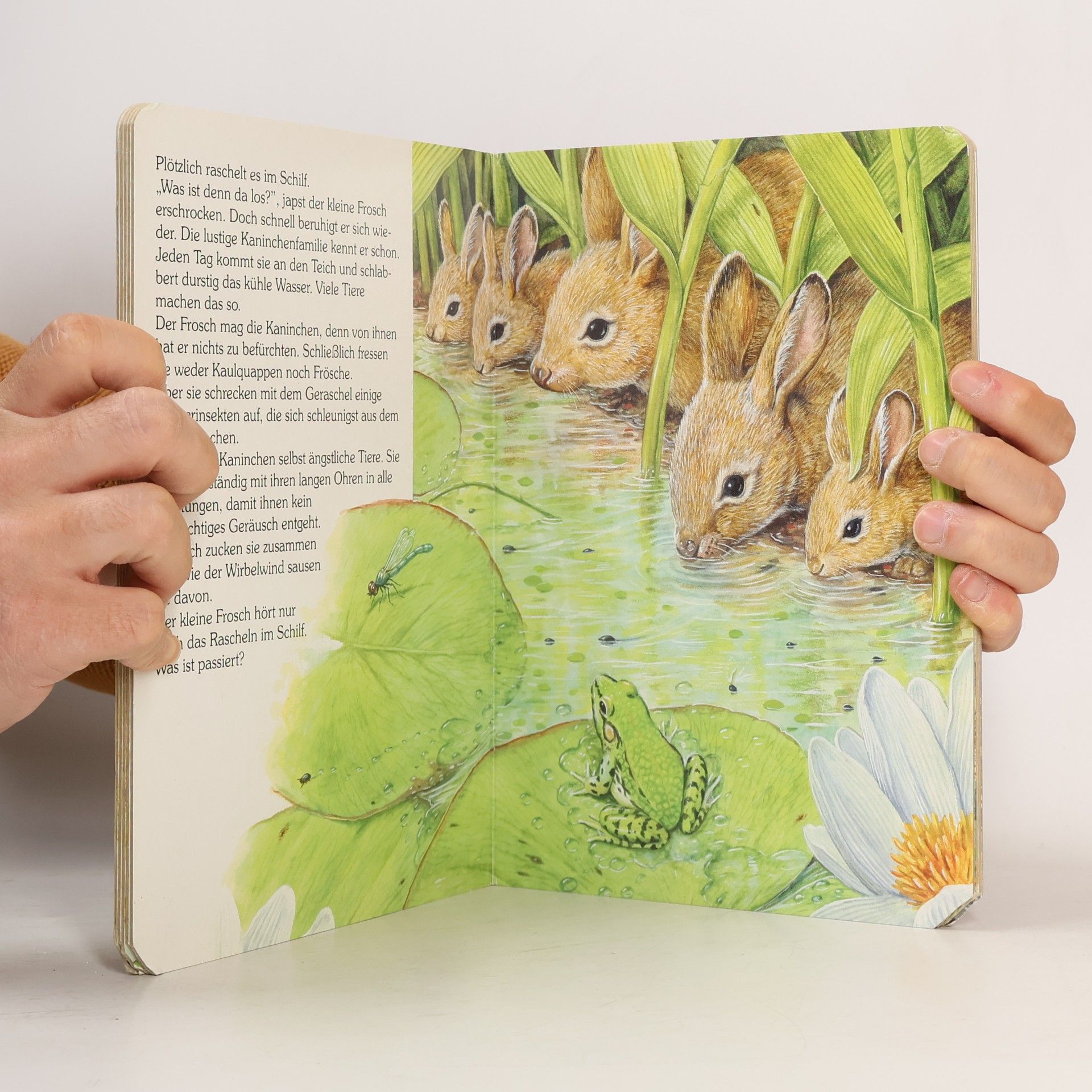 Mauro Monaldini Kinderbuch Der Frosch (Strolch Büchlein)
