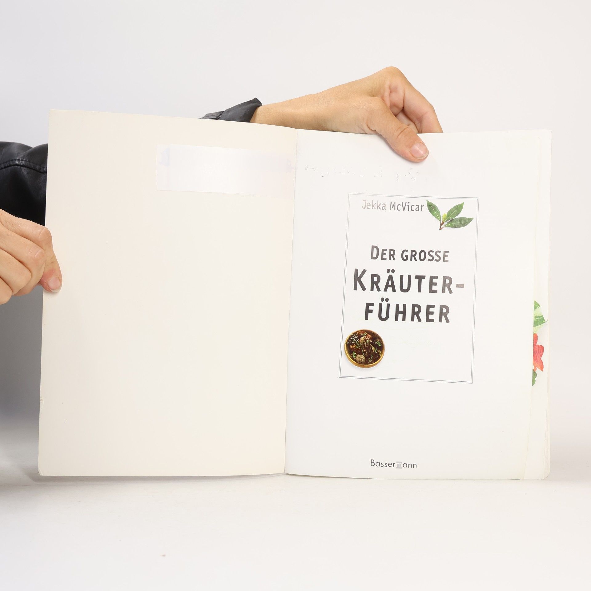 Jekka McVicar Der große Kräuterführer