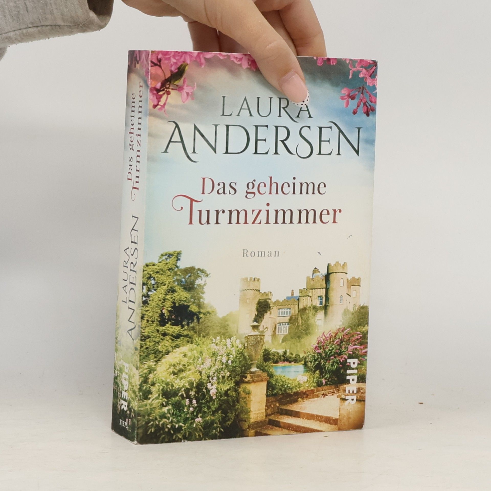 Laura Andersen Das geheime Turmzimmer