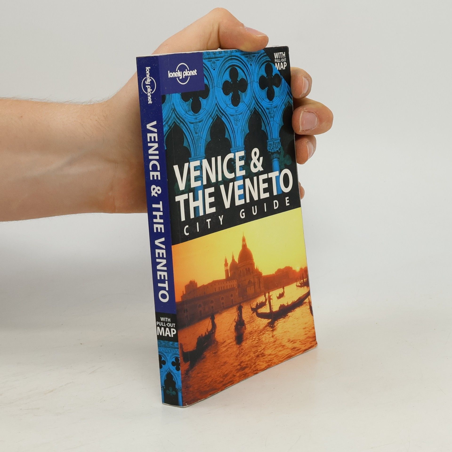 Alison Bing Venice & the Veneto