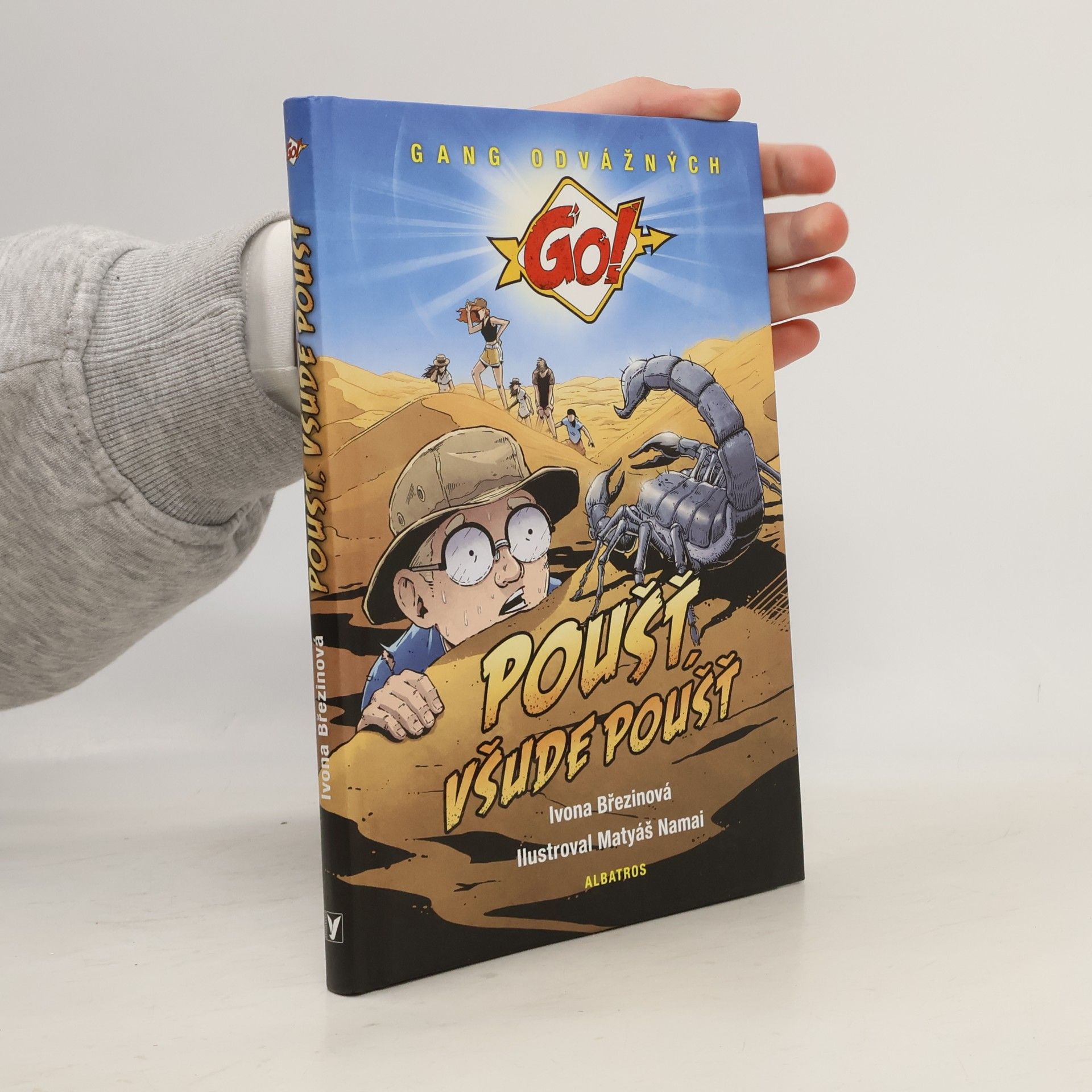 Poušť, všude poušť