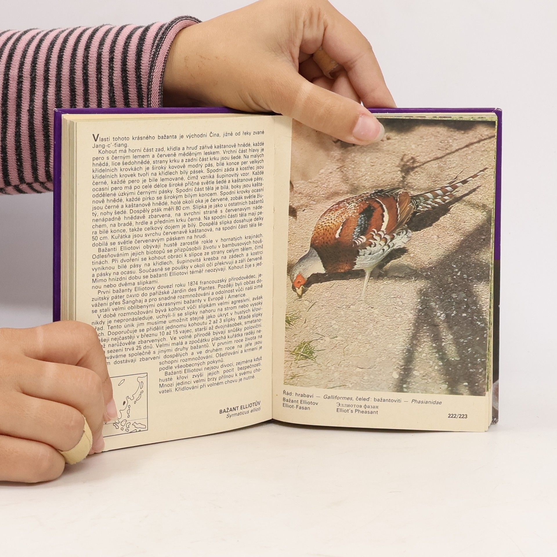 Zdeněk Veger Kapesní atlas okrasných ptáků