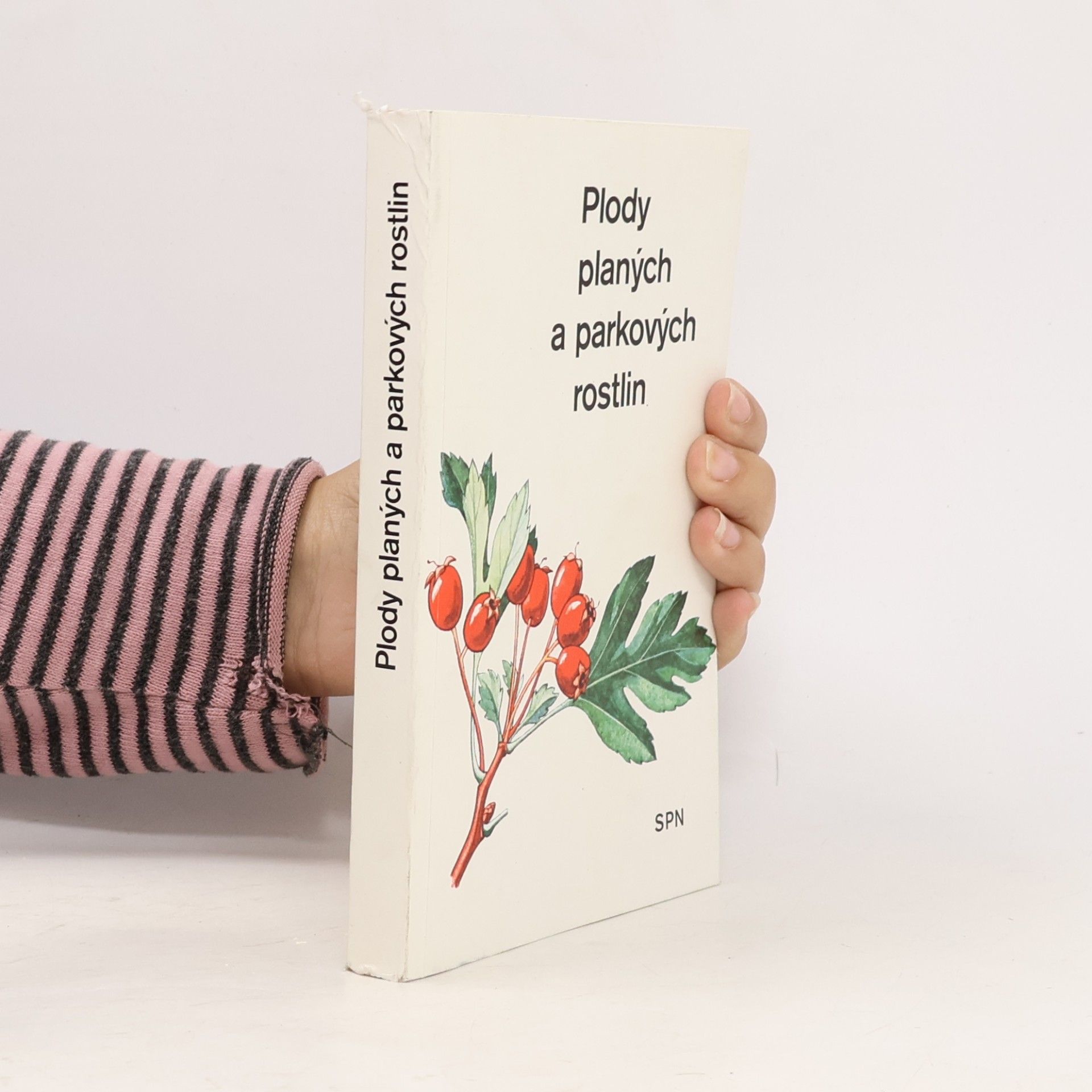Alois Mikula Plody planých a parkových rostlin : kapesní atlas : pomocná kniha pro biologické zájmové kroužky na školách, v Domech pionýrů a