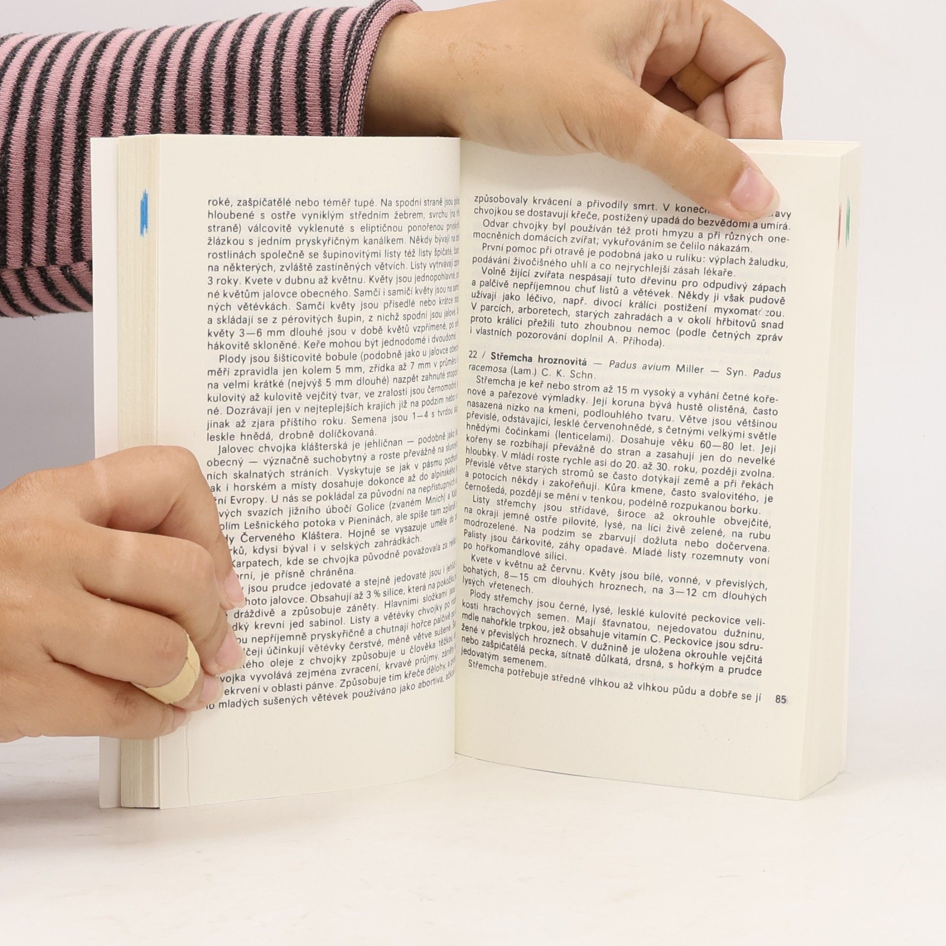 Přemysl Vanke Plody planých a parkových rostlin : kapesní atlas : pomocná kniha pro biologické zájmové kroužky na školách, v Domech pionýrů a