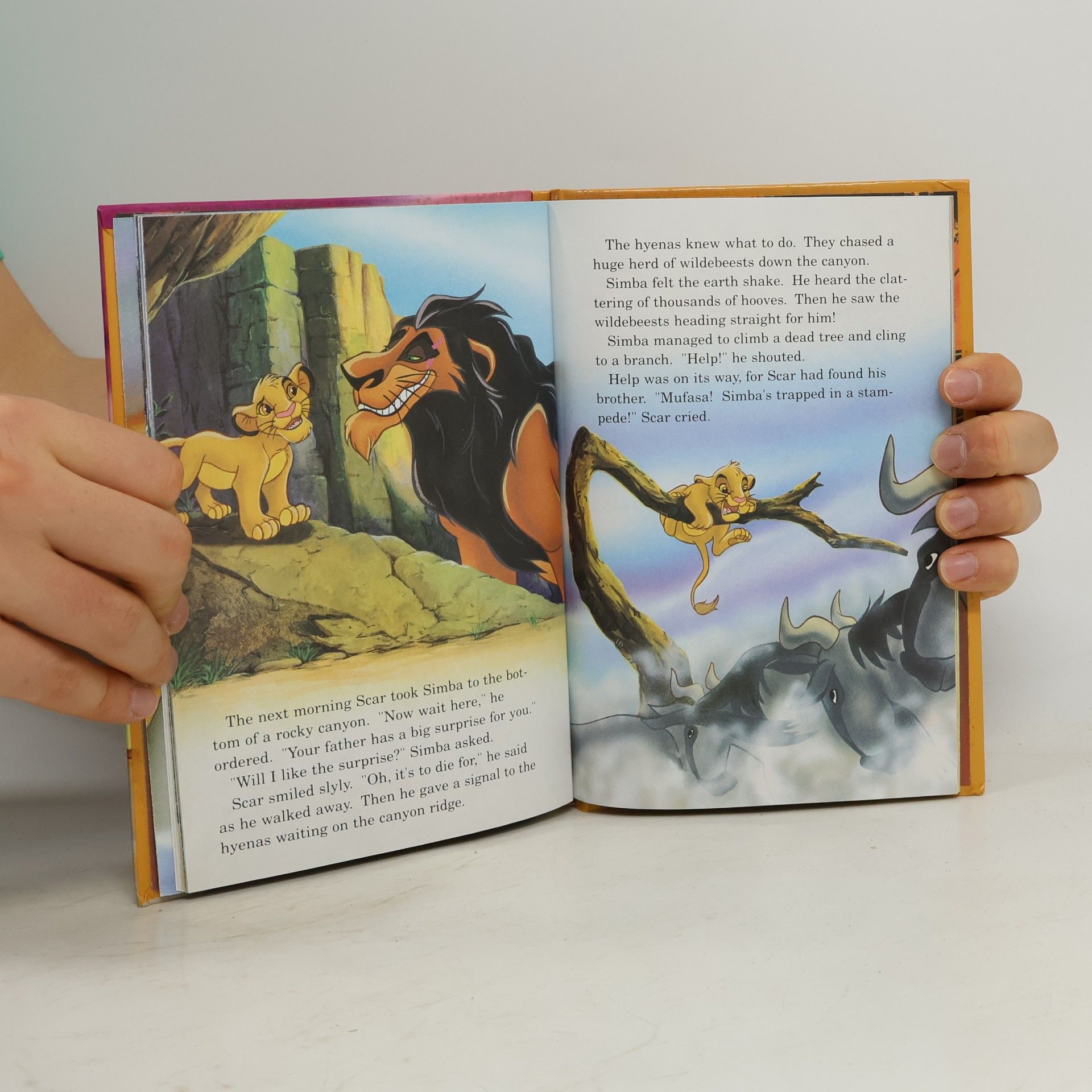 Walt Disney The lion king