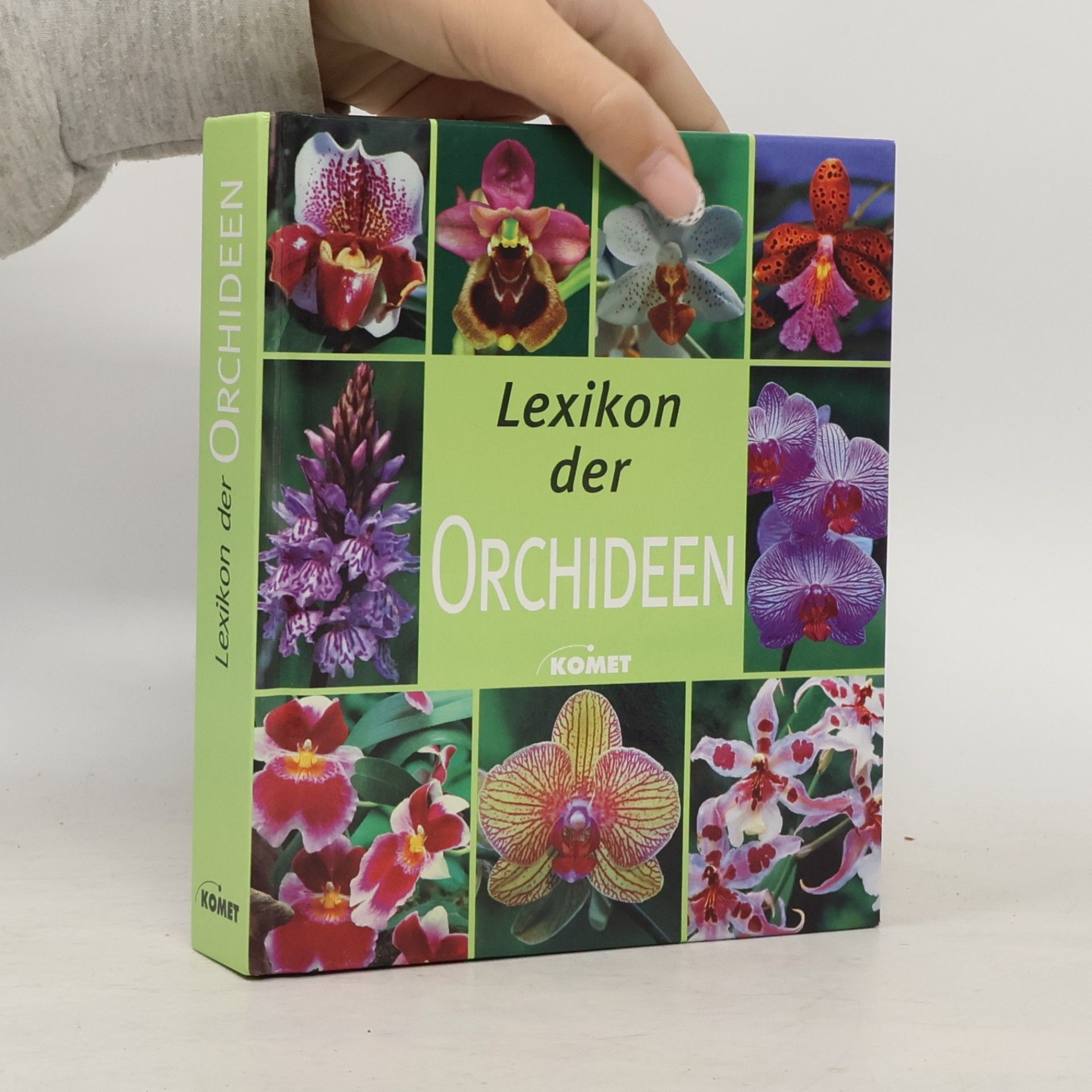 Autorenkollektiv Lexikon der Orchideen