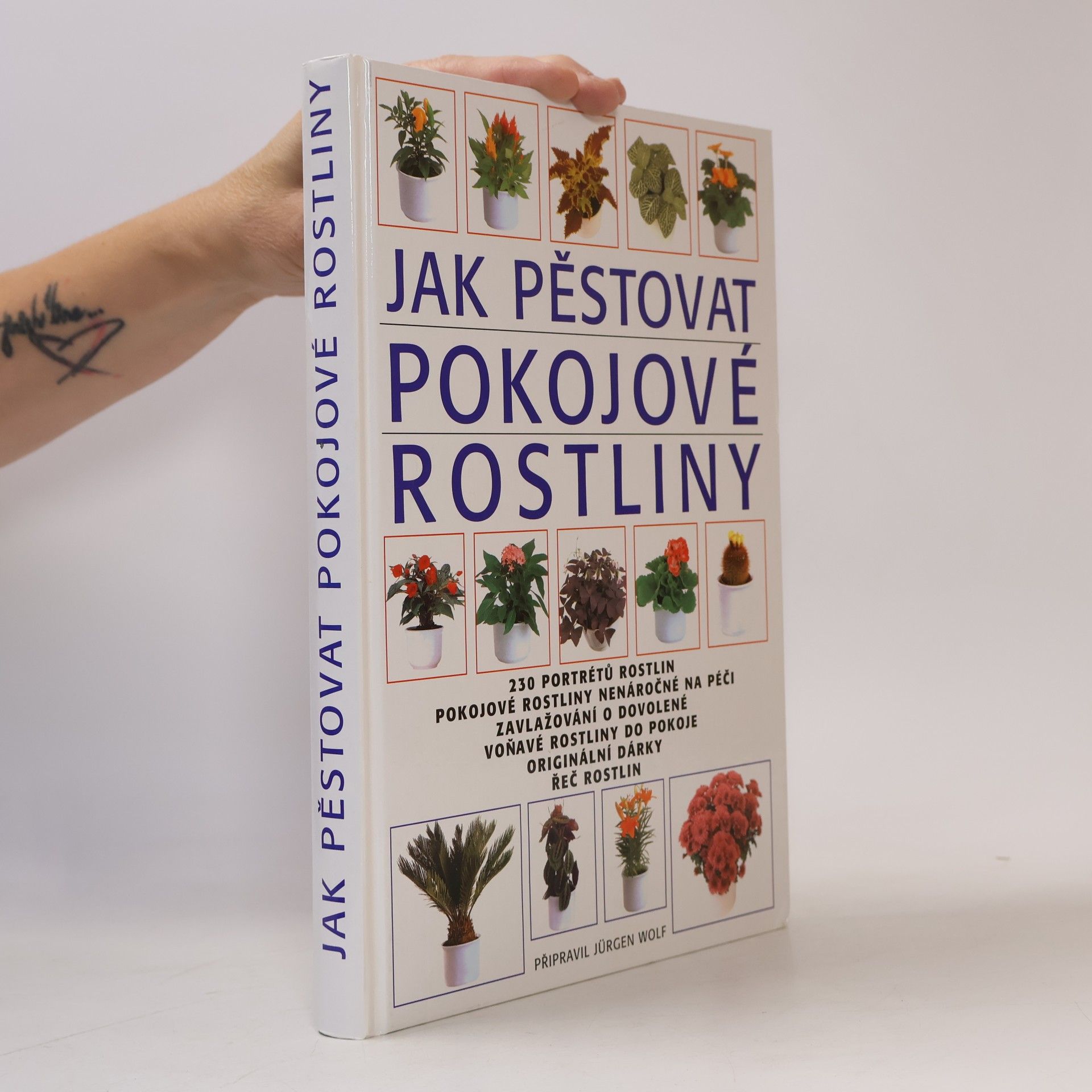 Jürgen Wolff Jak pěstovat pokojové rostliny