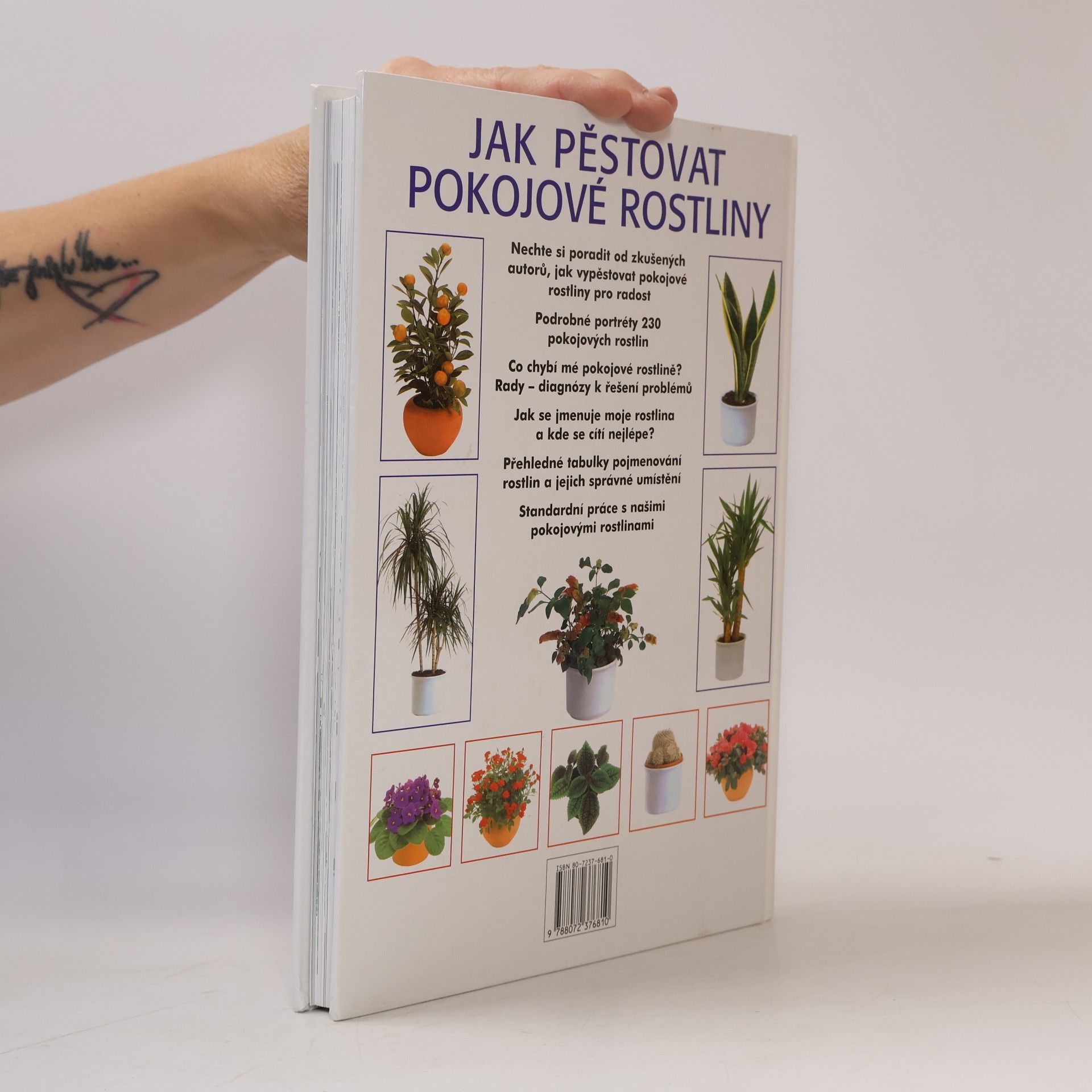 Jürgen Wolff Jak pěstovat pokojové rostliny