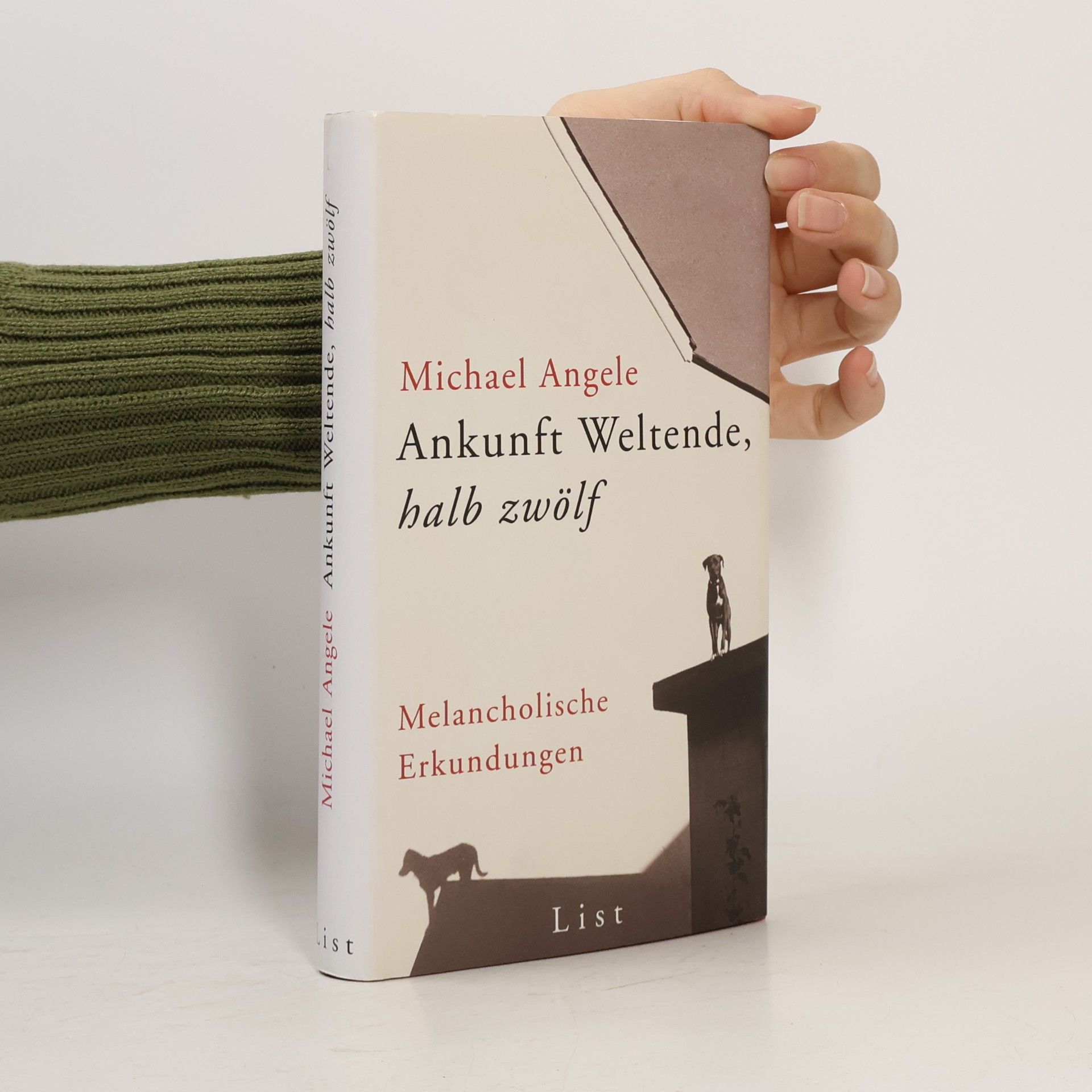 Michael Angele Ankunft Weltende, halb zwölf. Melancholische Erkundungen