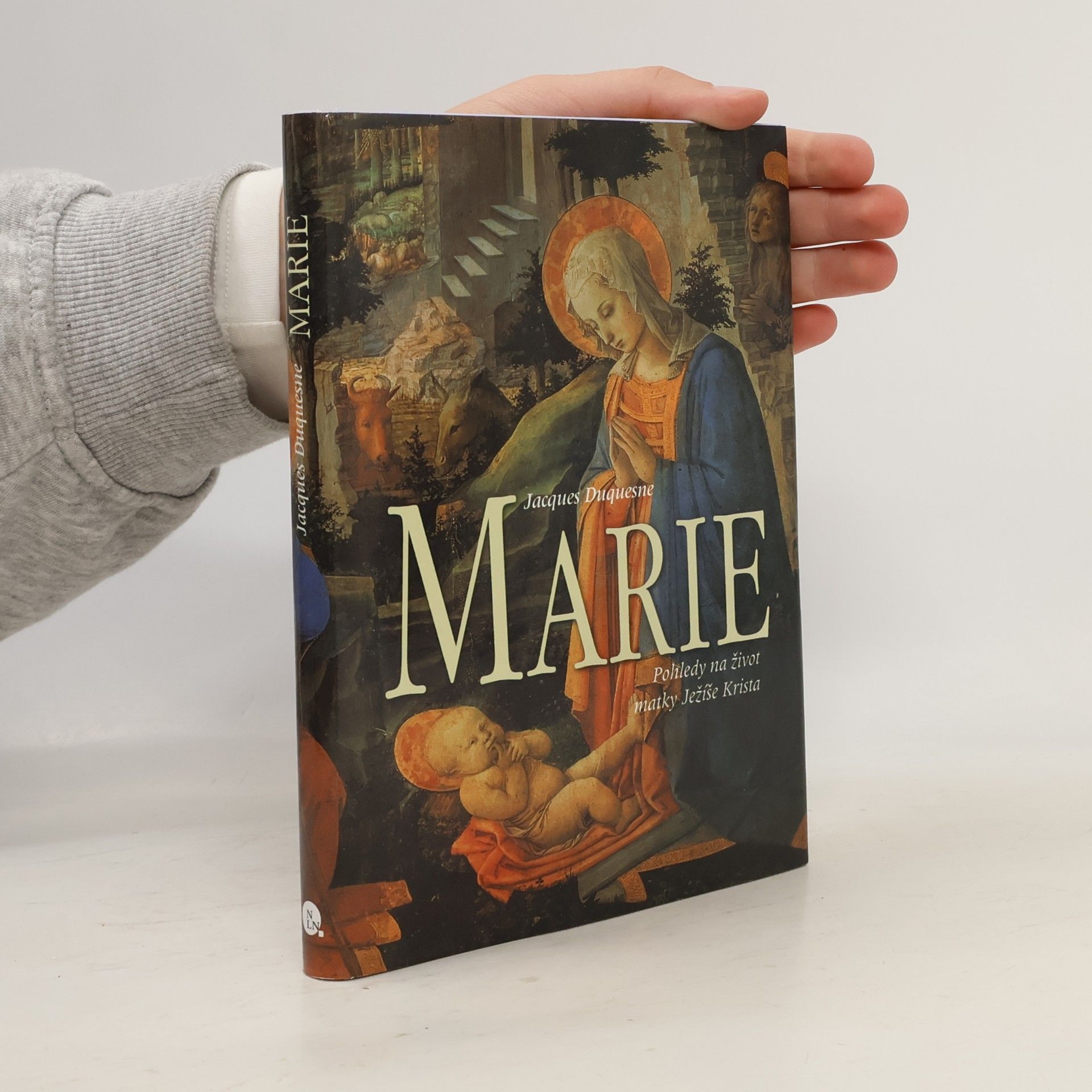Jacques Duquesne Marie - Pohledy na život matky Ježíše Krista
