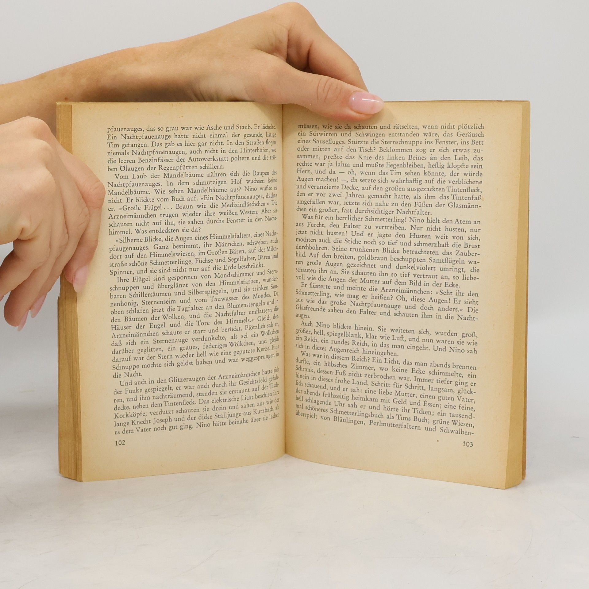 Friedrich Schnack Das Leben der Schmetterlinge