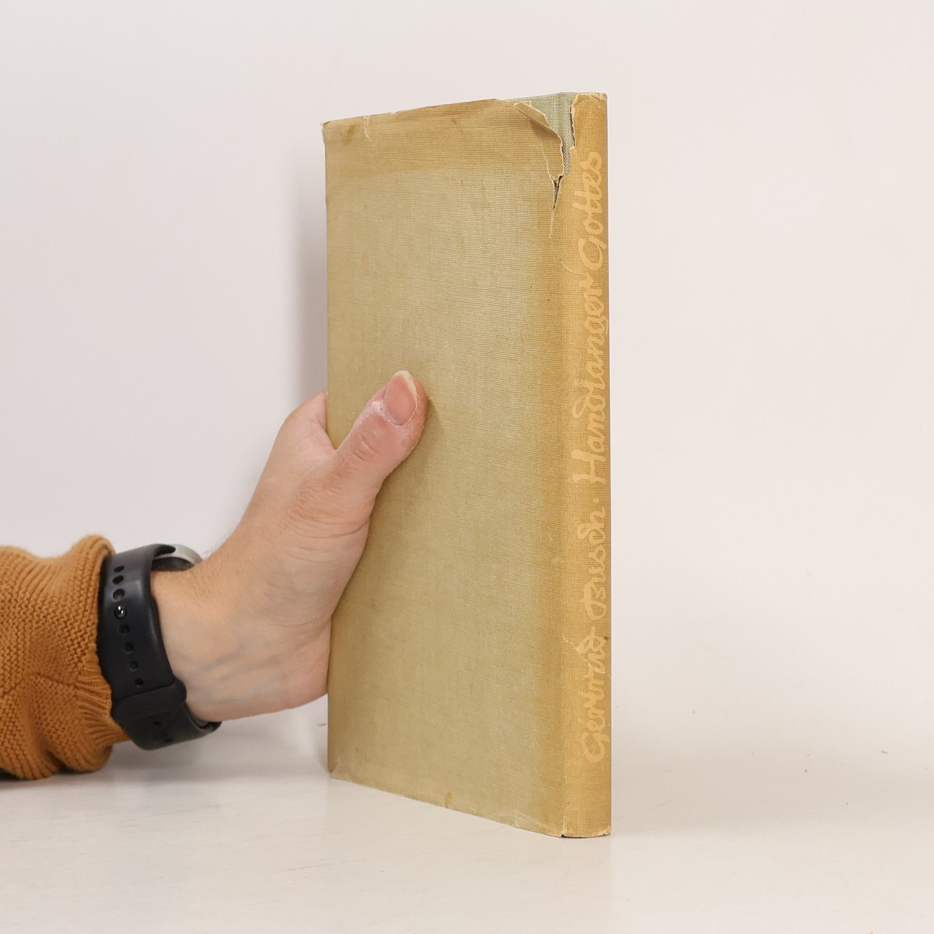 Gertrud Busch Handlanger Gottes
