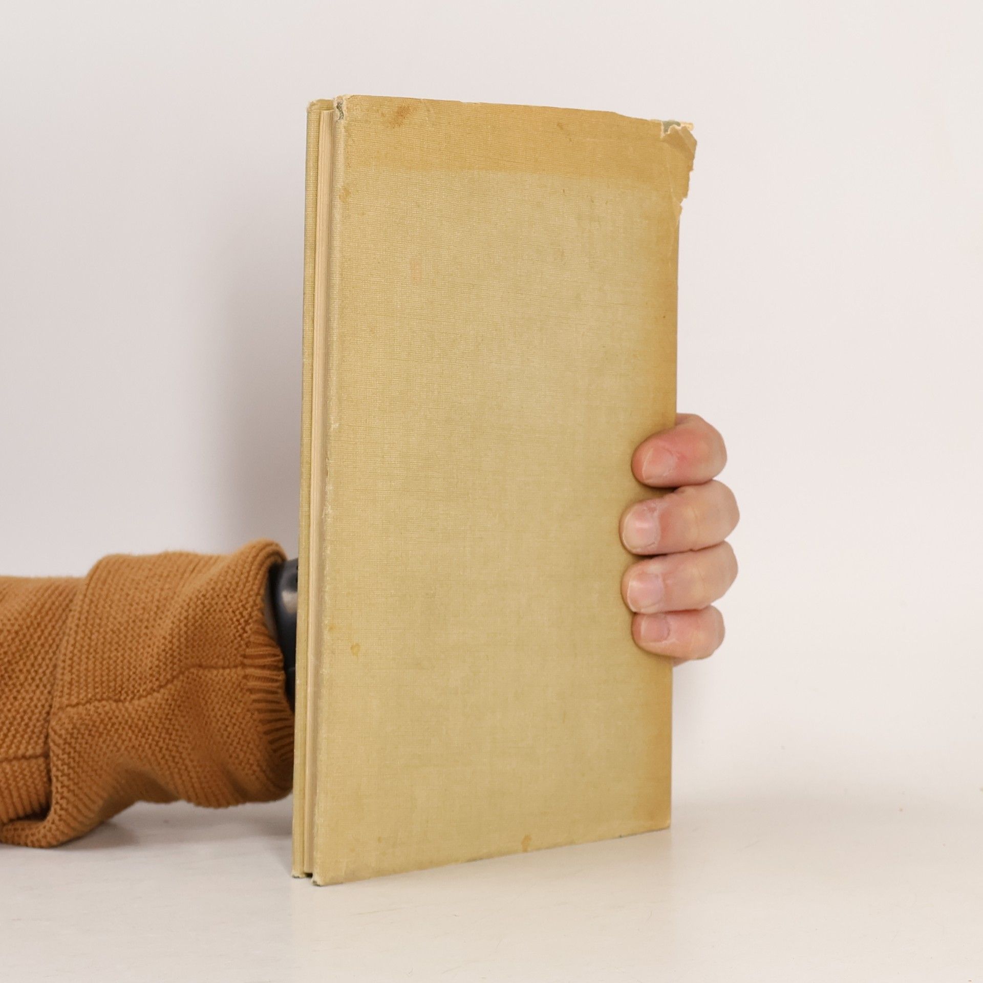 Gertrud Busch Handlanger Gottes
