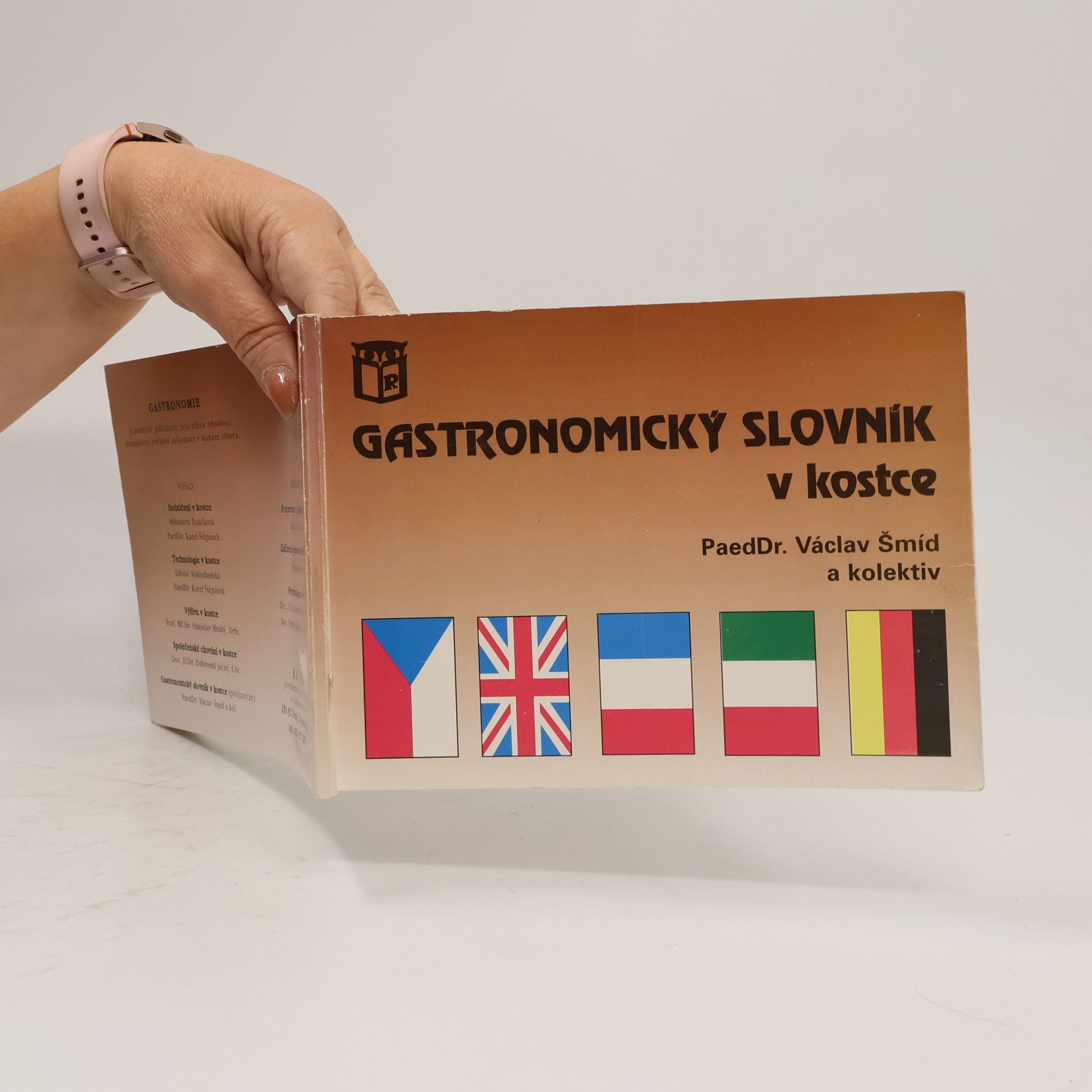 Autorenkollektiv Gastronomický slovník v kostce