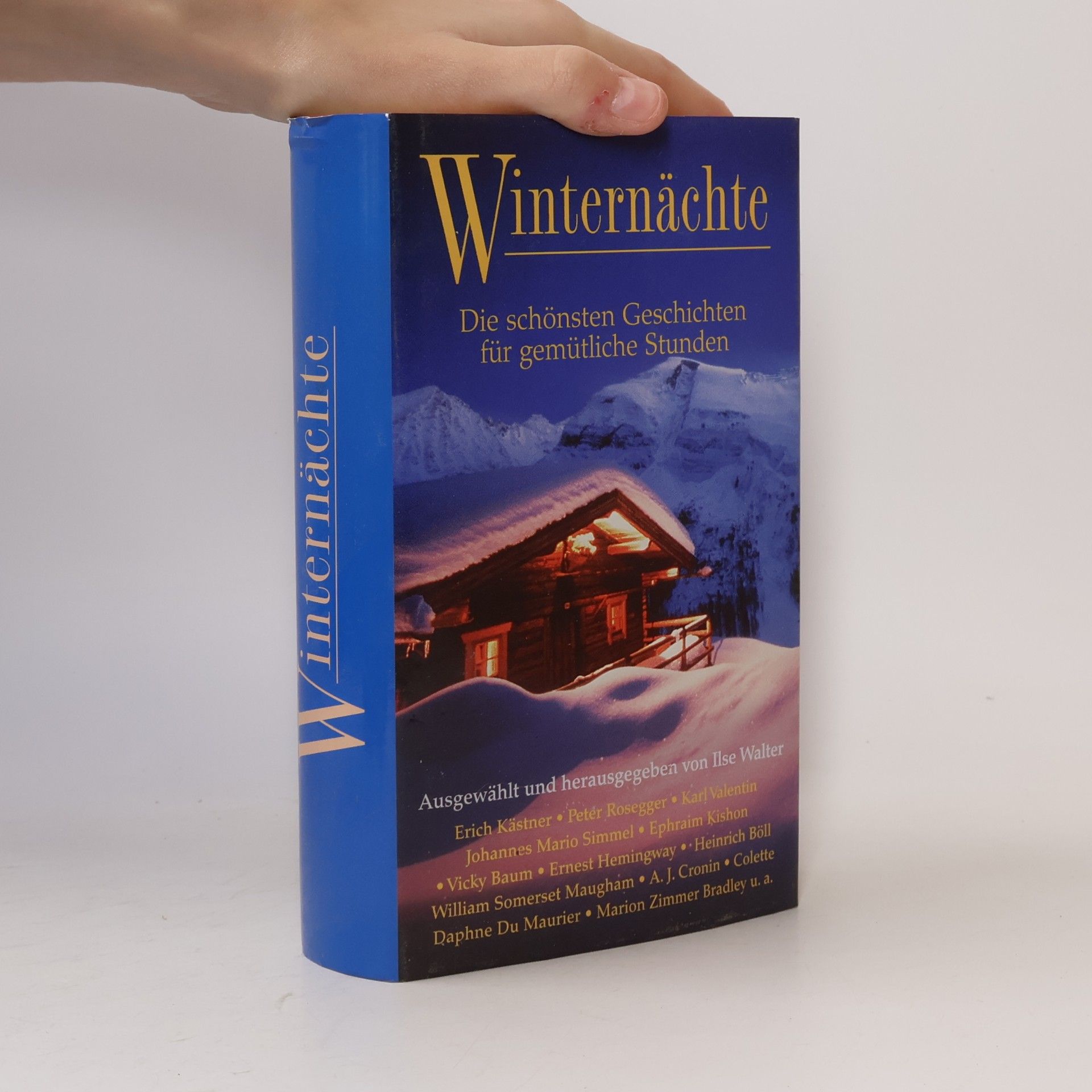 Autorenkollektiv Winternächte. Die schönsten Geschichten für gemütliche Stunden