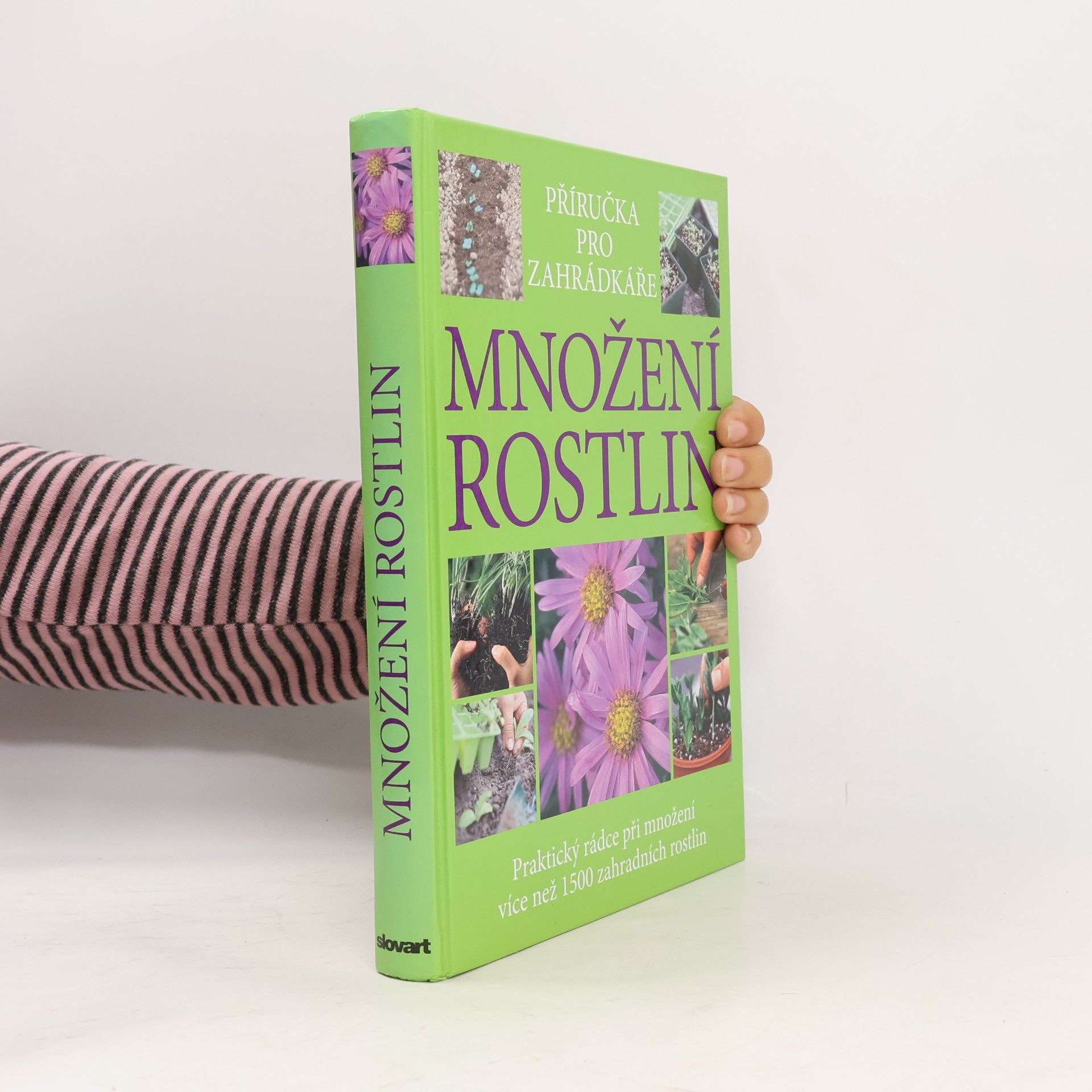 Množení rostlin