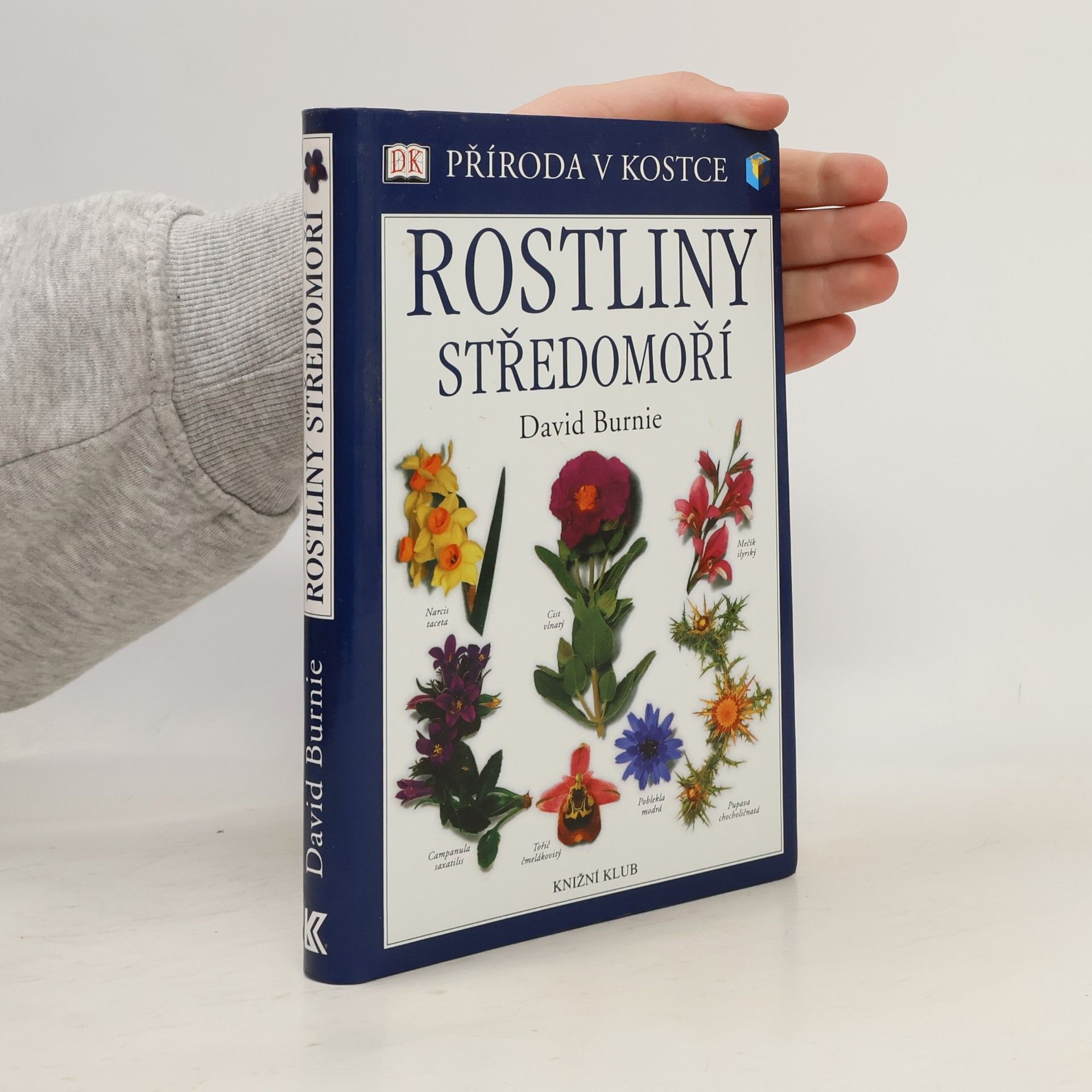 Derek R. Hall Rostliny Středomoří