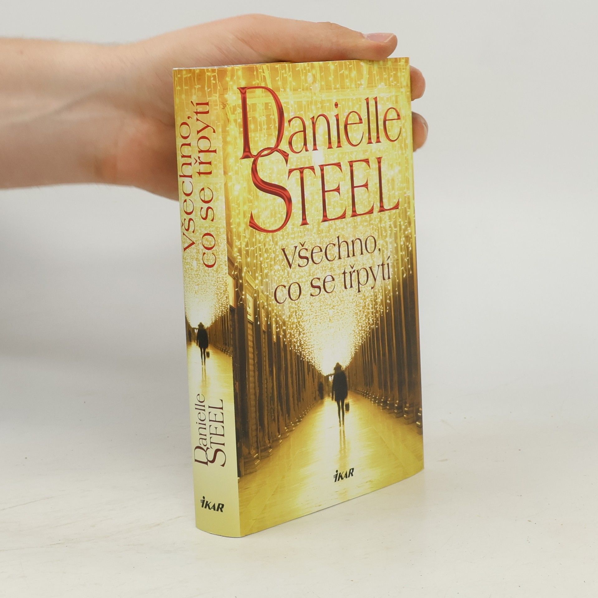 Danielle Steel Všechno, co se třpytí