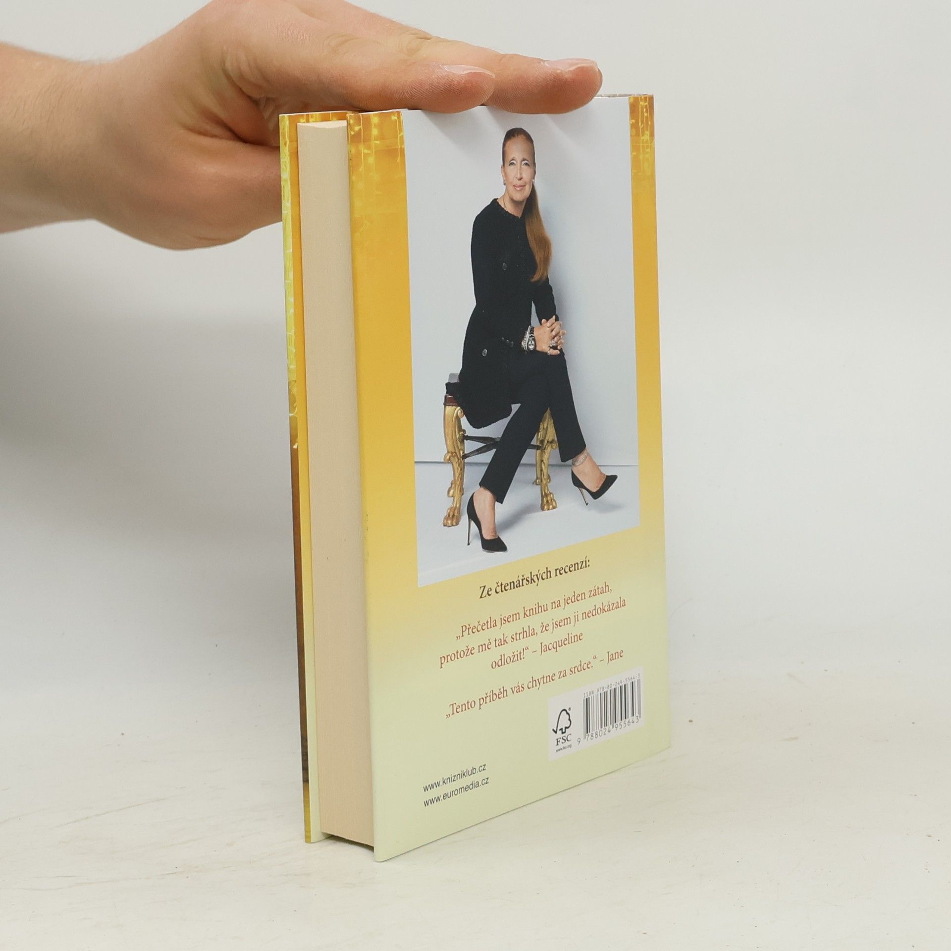 Danielle Steel Všechno, co se třpytí