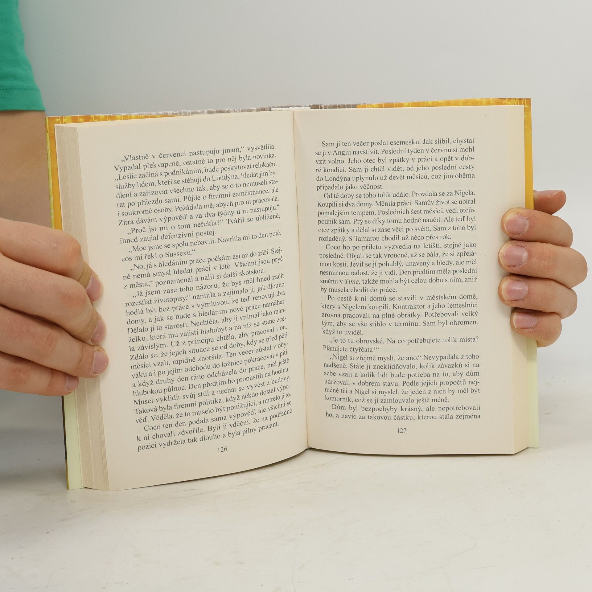 Danielle Steel Všechno, co se třpytí