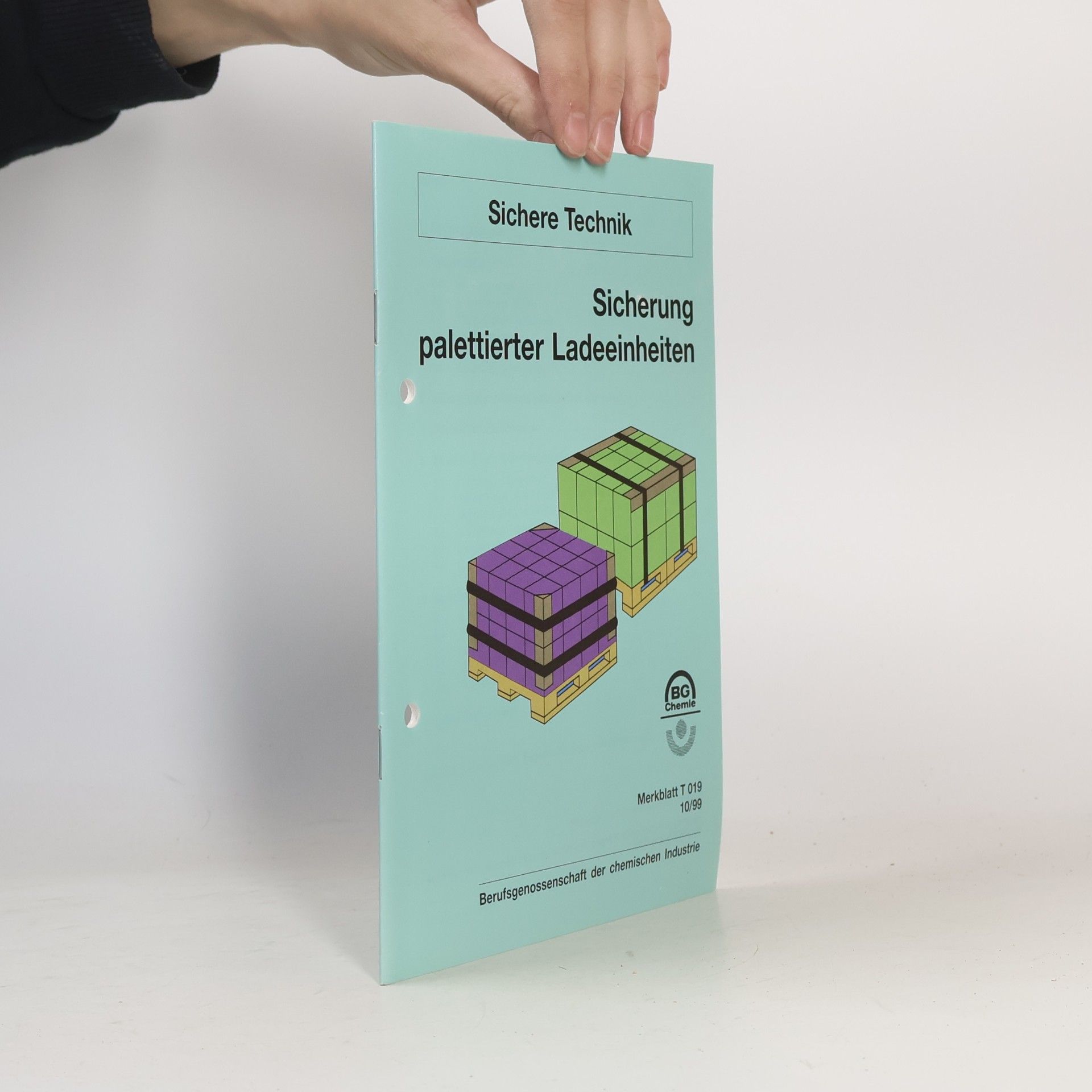 kolektiv Sicherung palettierter Ladeeinheiten