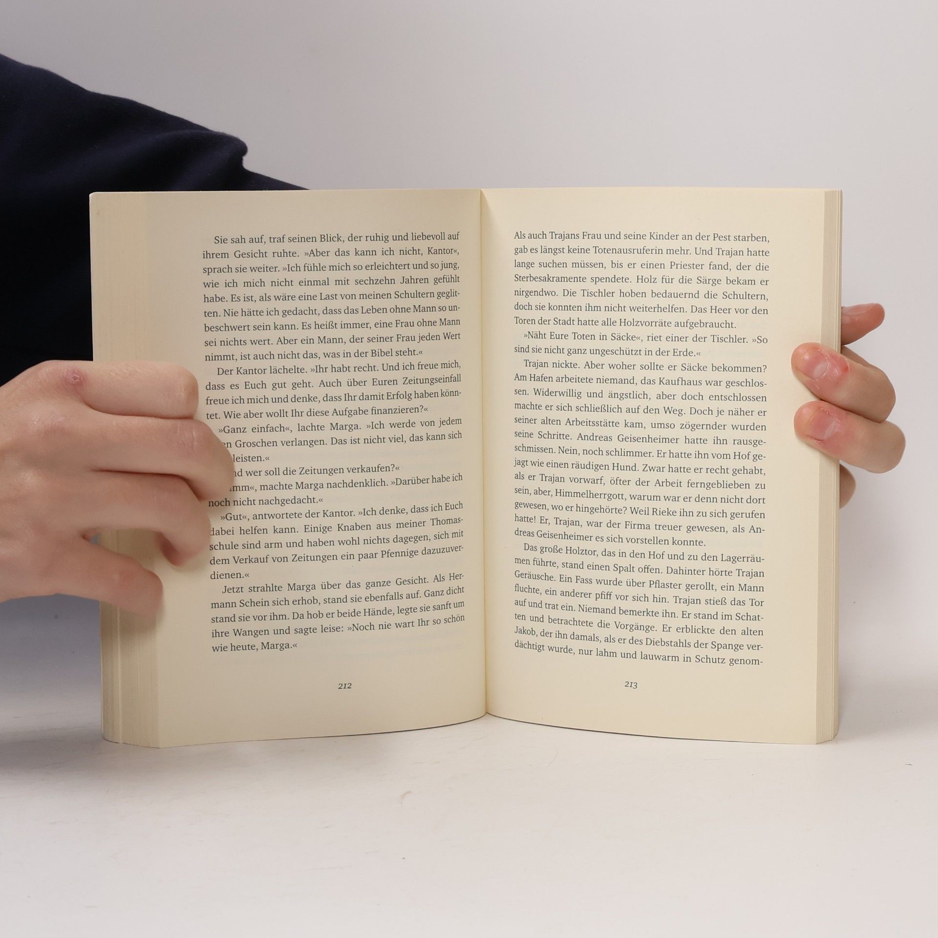 Ines Thorn Die Tochter des Buchdruckers