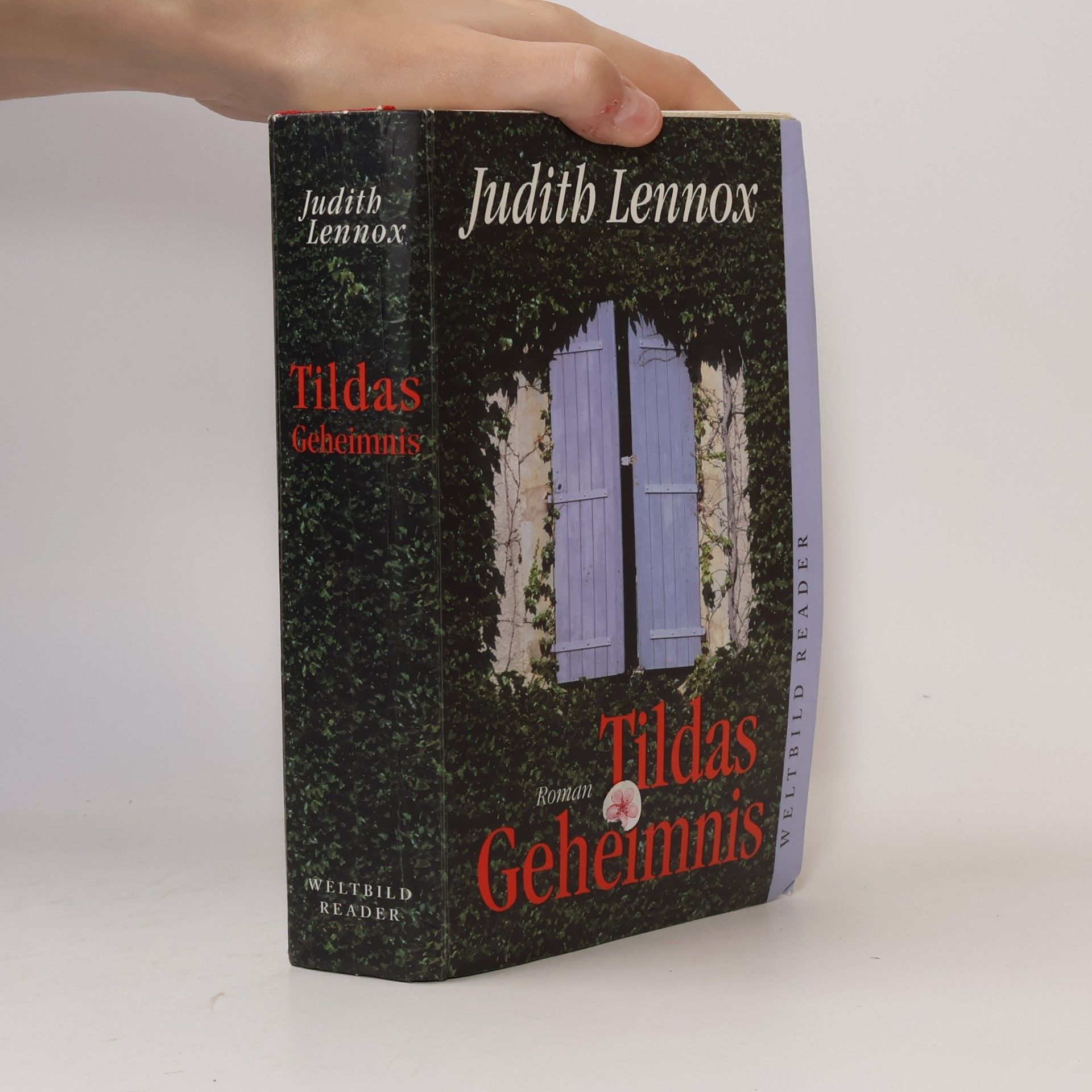 Judith Lennox Tildas Geheimnis