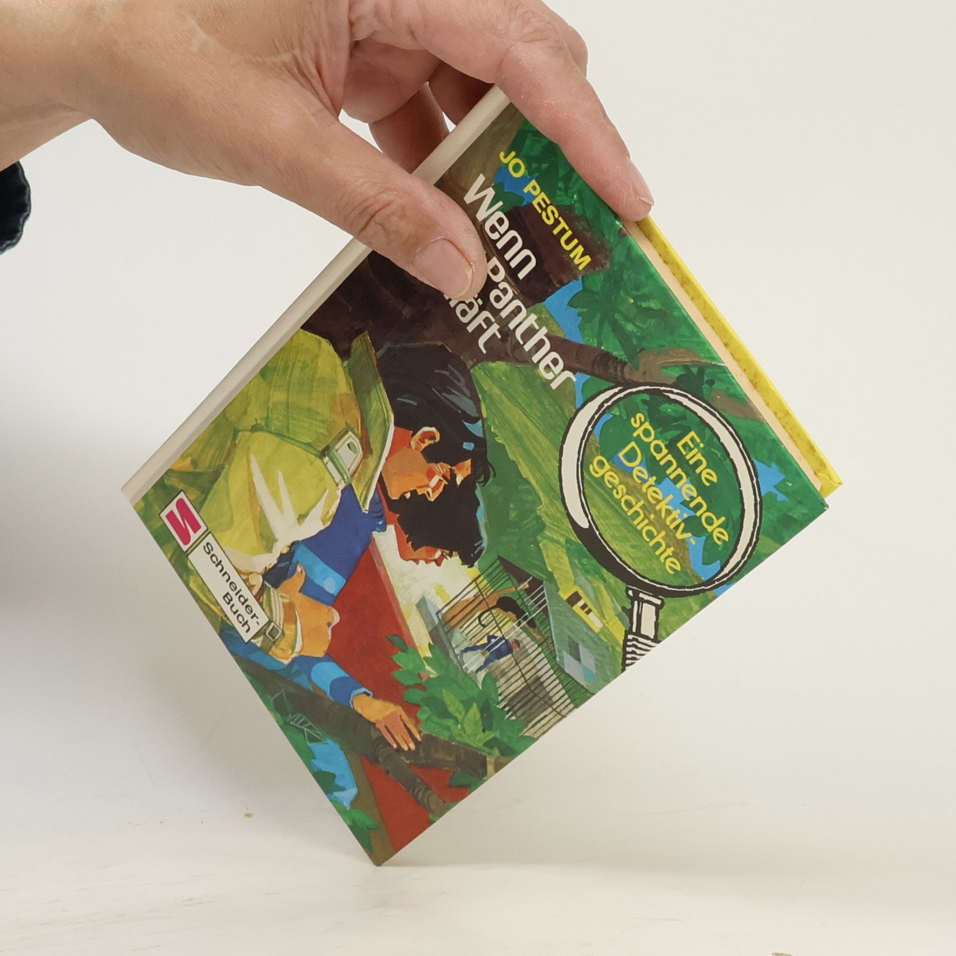 Jo Pestum Wenn der Panther schläft