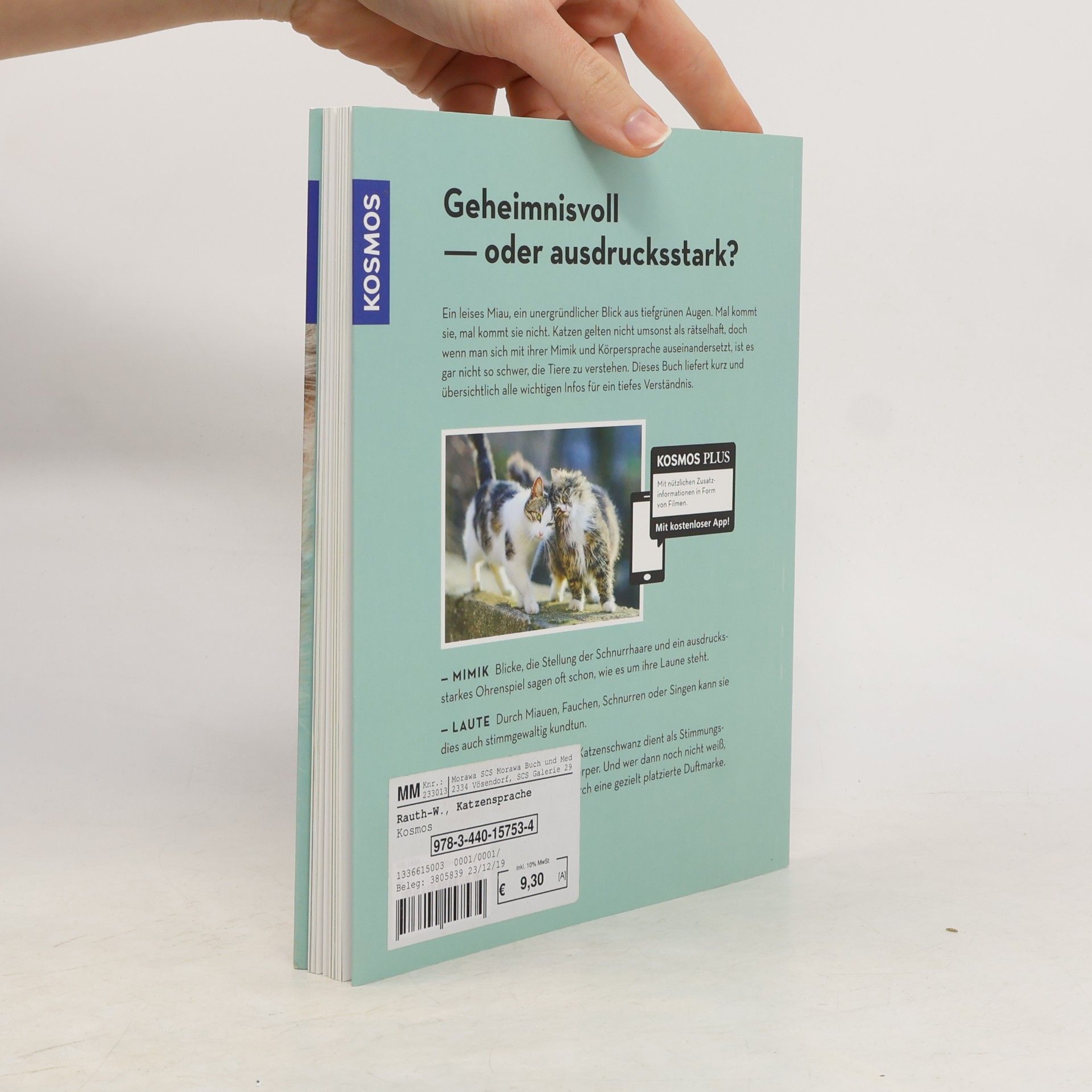 Brigitte Rauth Widmann Katzensprache