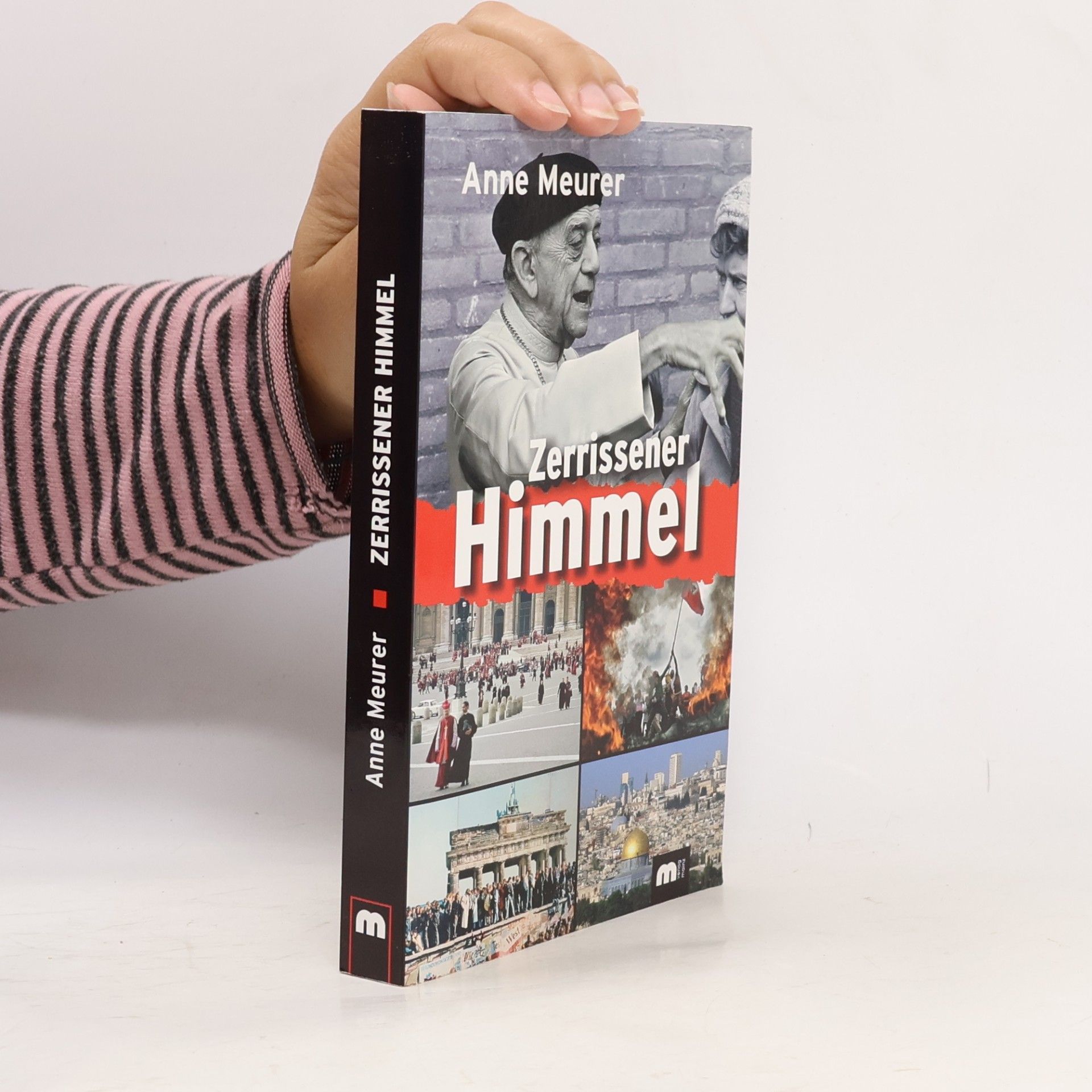 Anne Meurer Zerrissener Himmel