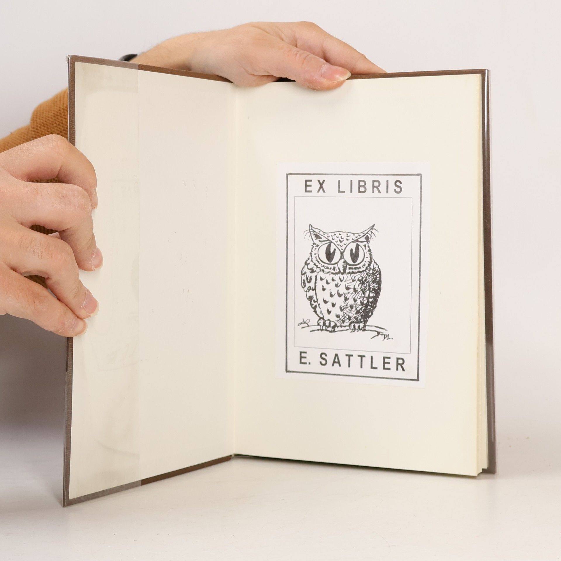 Autorenkollektiv Führer durch die Sammlungen des Kunsthistorischen Museums.