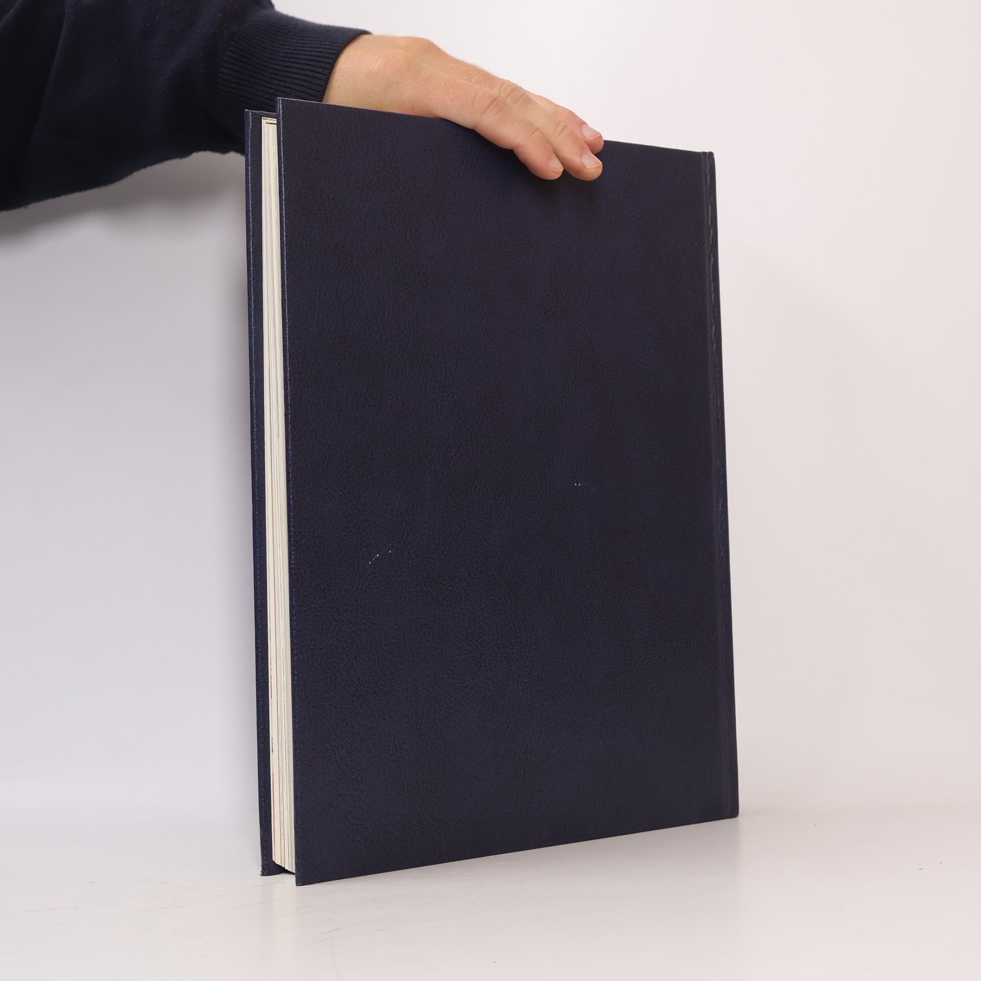Matthias Stubhann Encyklopedie bible A-L