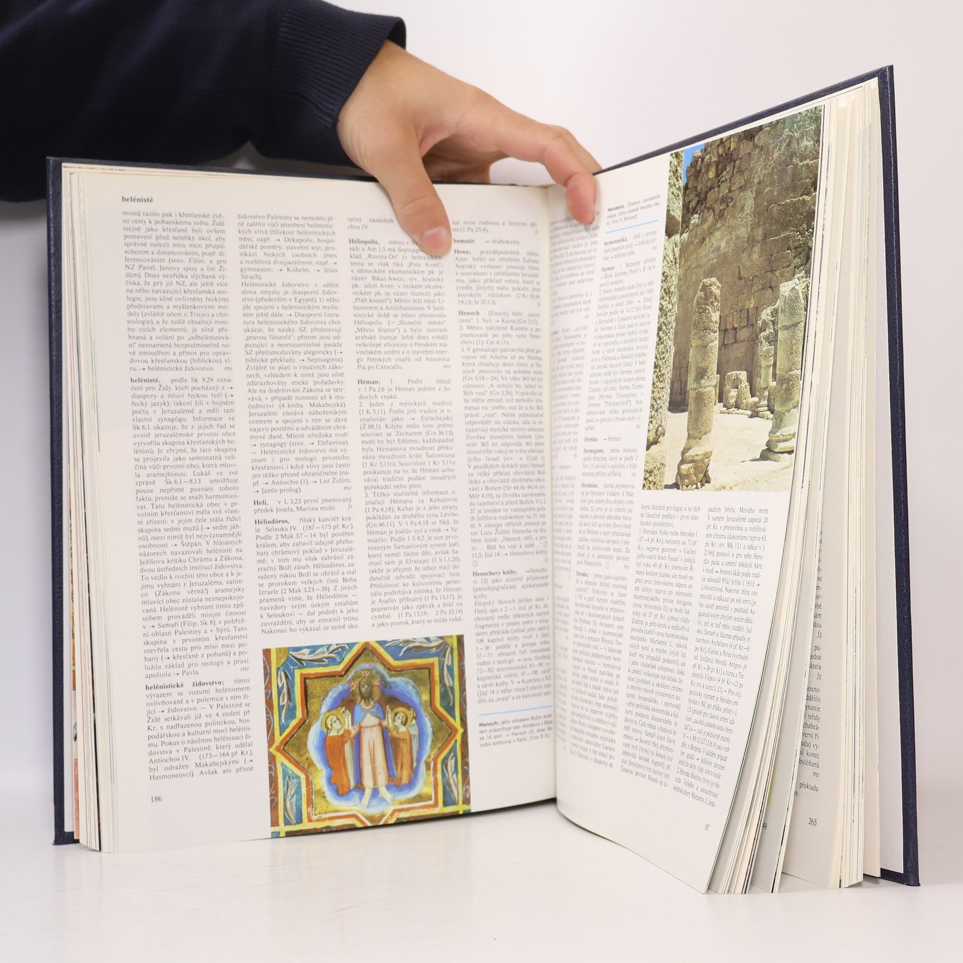 Matthias Stubhann Encyklopedie bible A-L