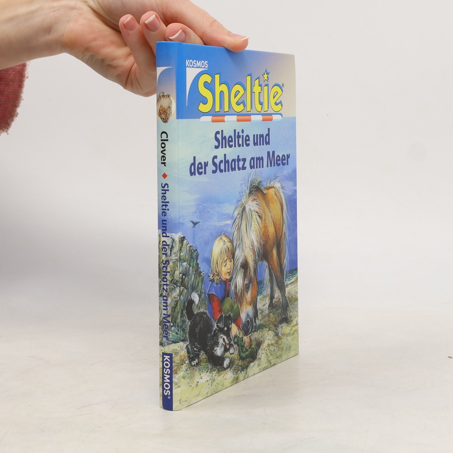 Sheltie und der Schatz am Meer