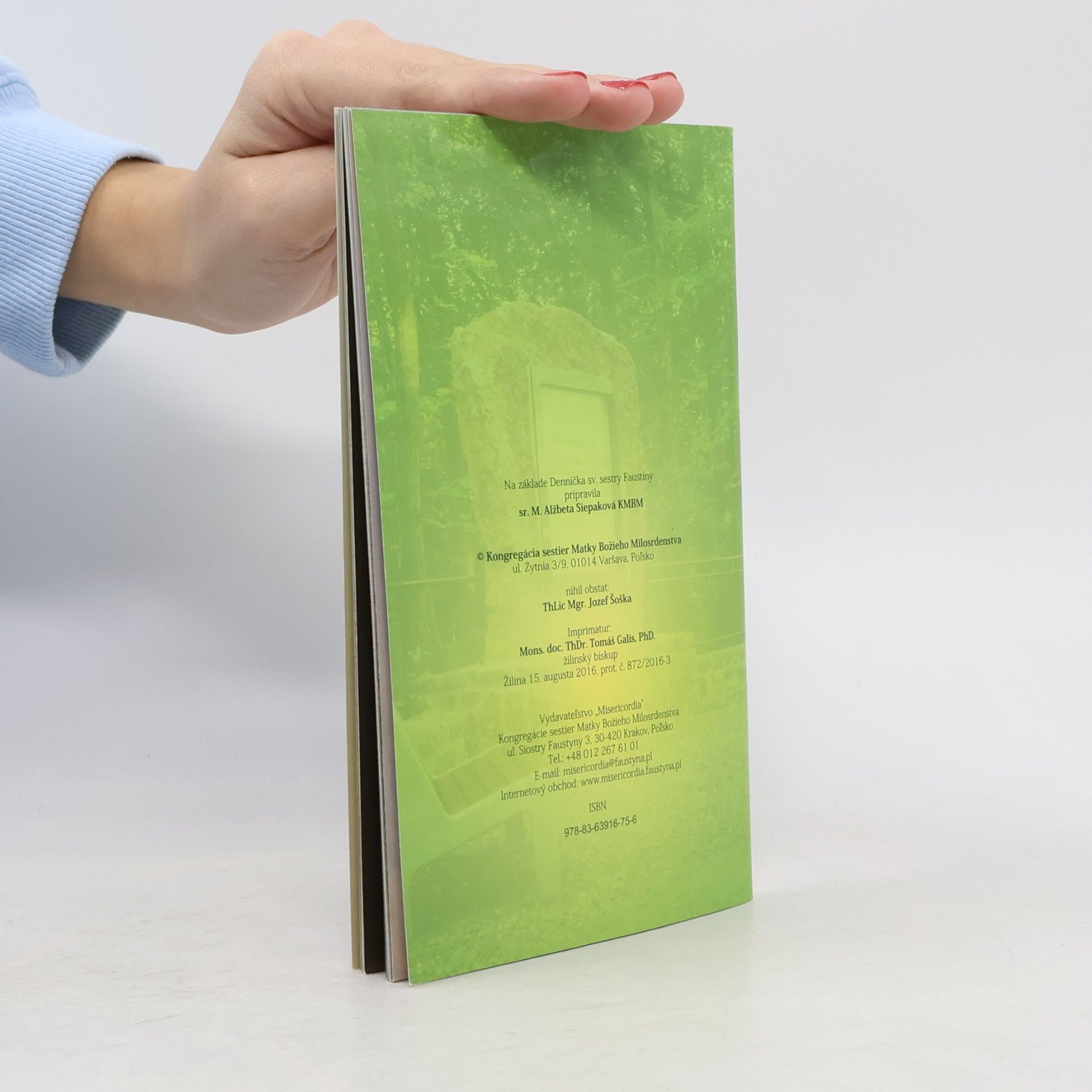 Various authors Krížová cesta Božieho milosrdenstva na hore Butkov so sv. sestrou Faustínou