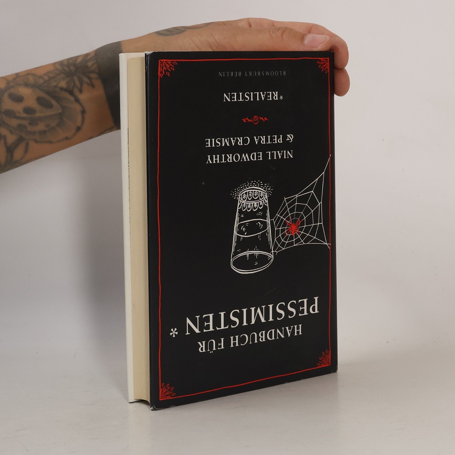 Niall Edworthy Handbuch für Optimisten