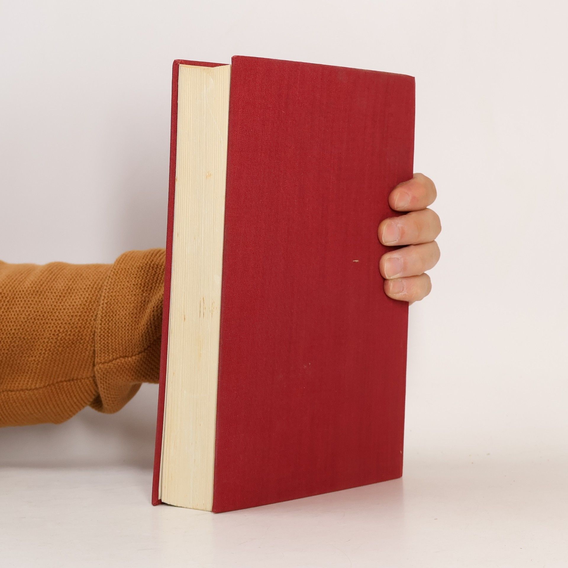 Theodor Ottawa Mein Österreichbuch