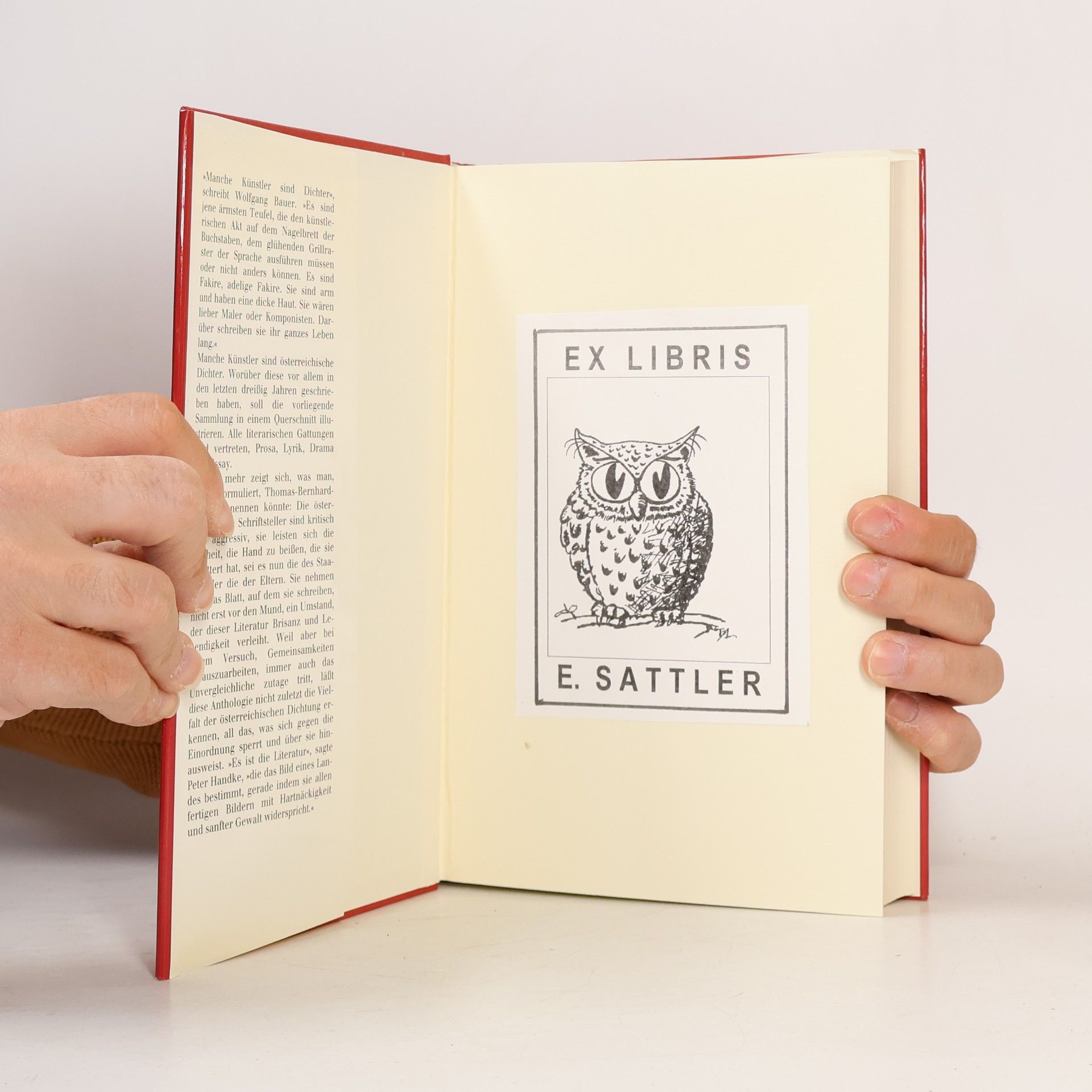 Various authors Manche Künstler sind Dichter. 88 zündende Beispiele aus Österreich