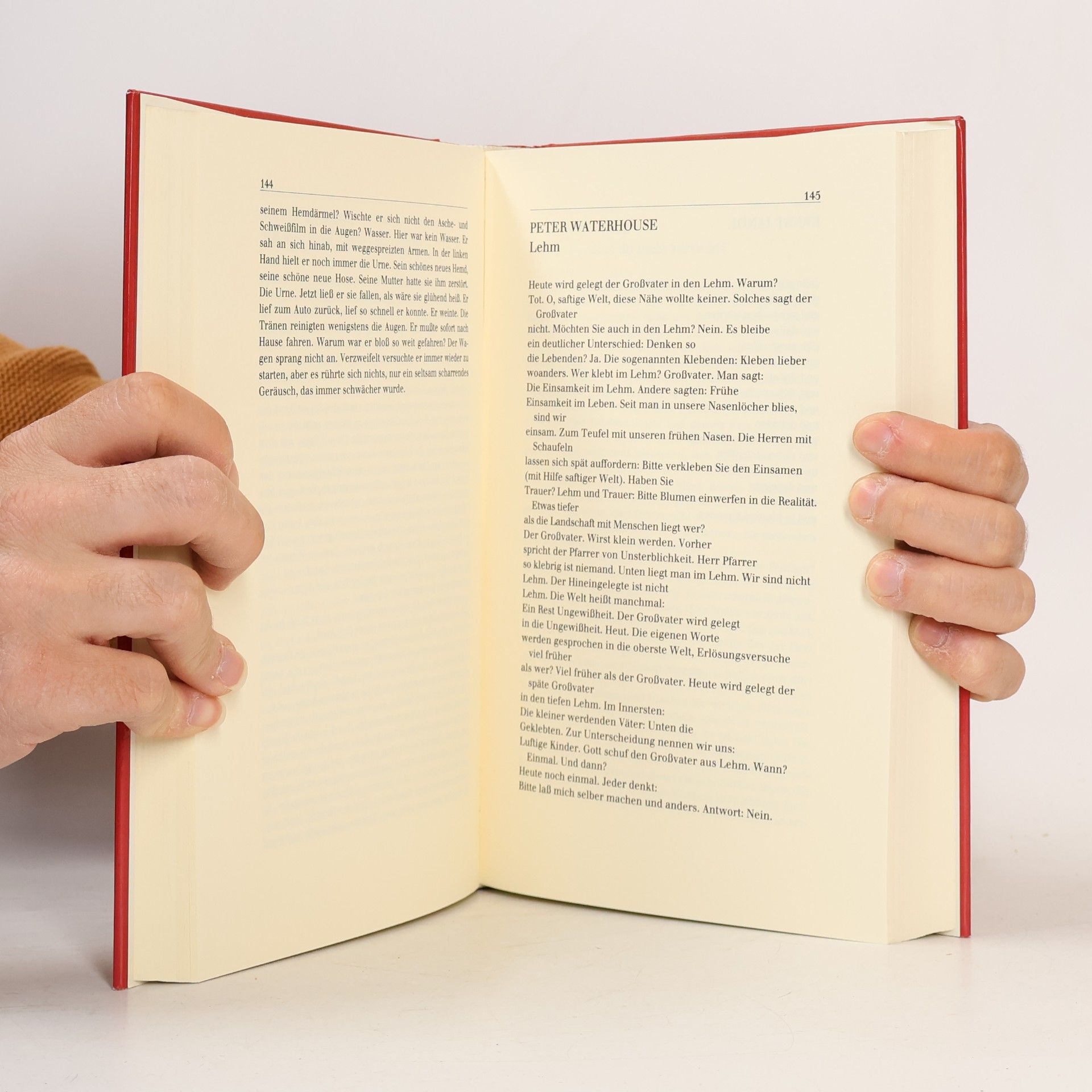 Various authors Manche Künstler sind Dichter. 88 zündende Beispiele aus Österreich