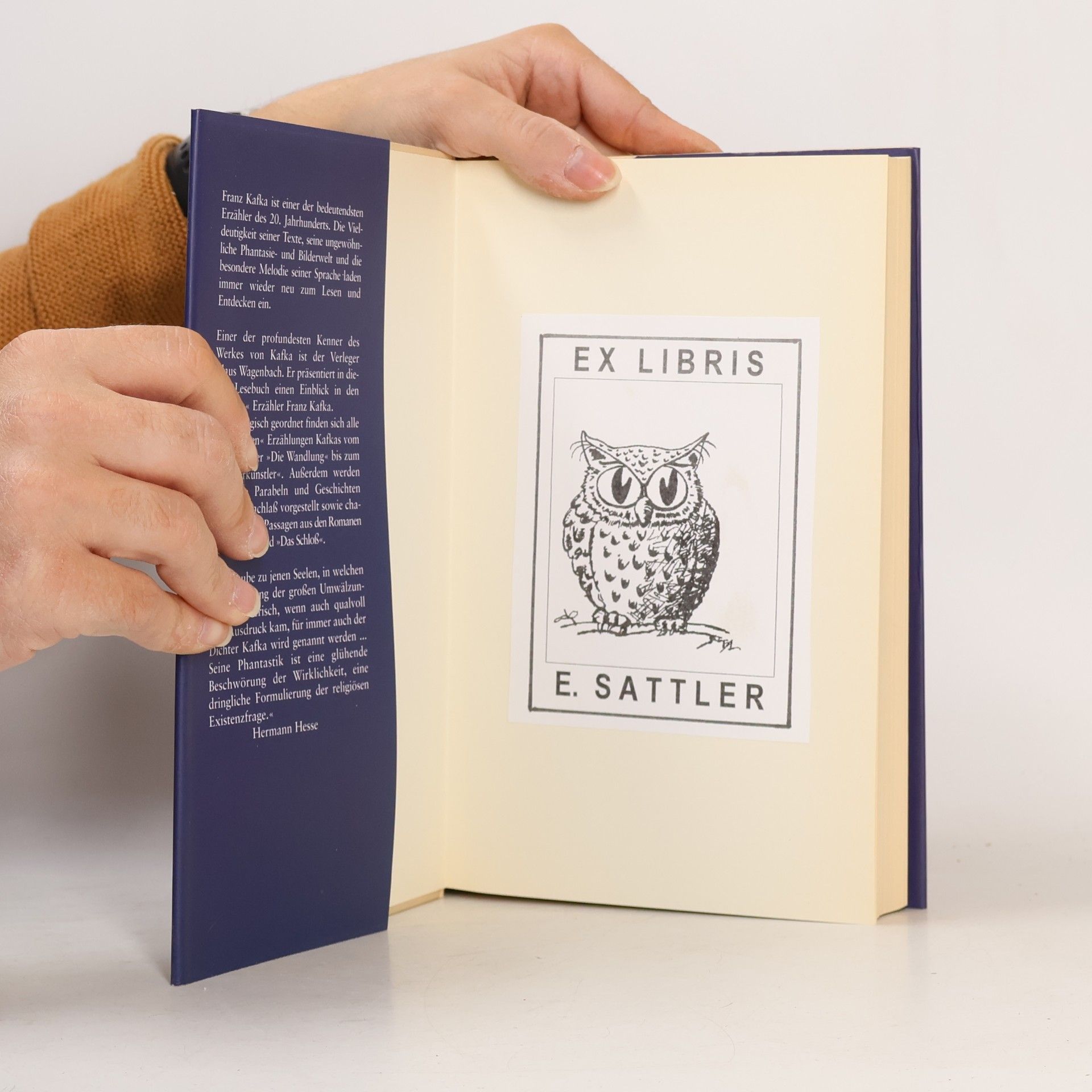 Franz Kafka Ein Lesebuch