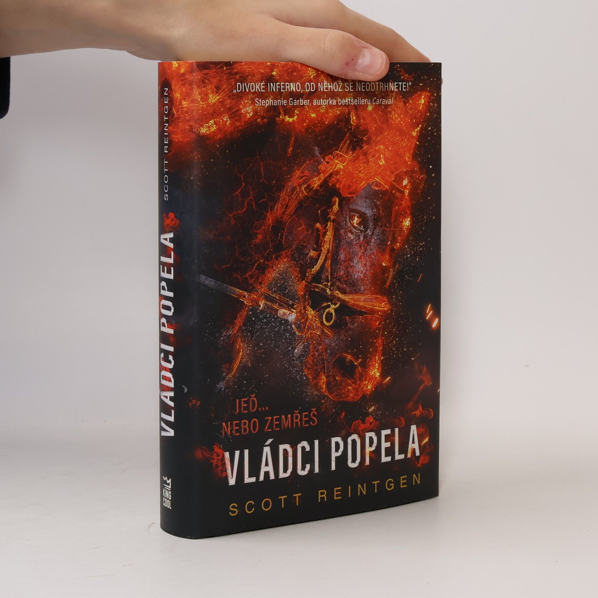 Scott Reintgen Vládci popela