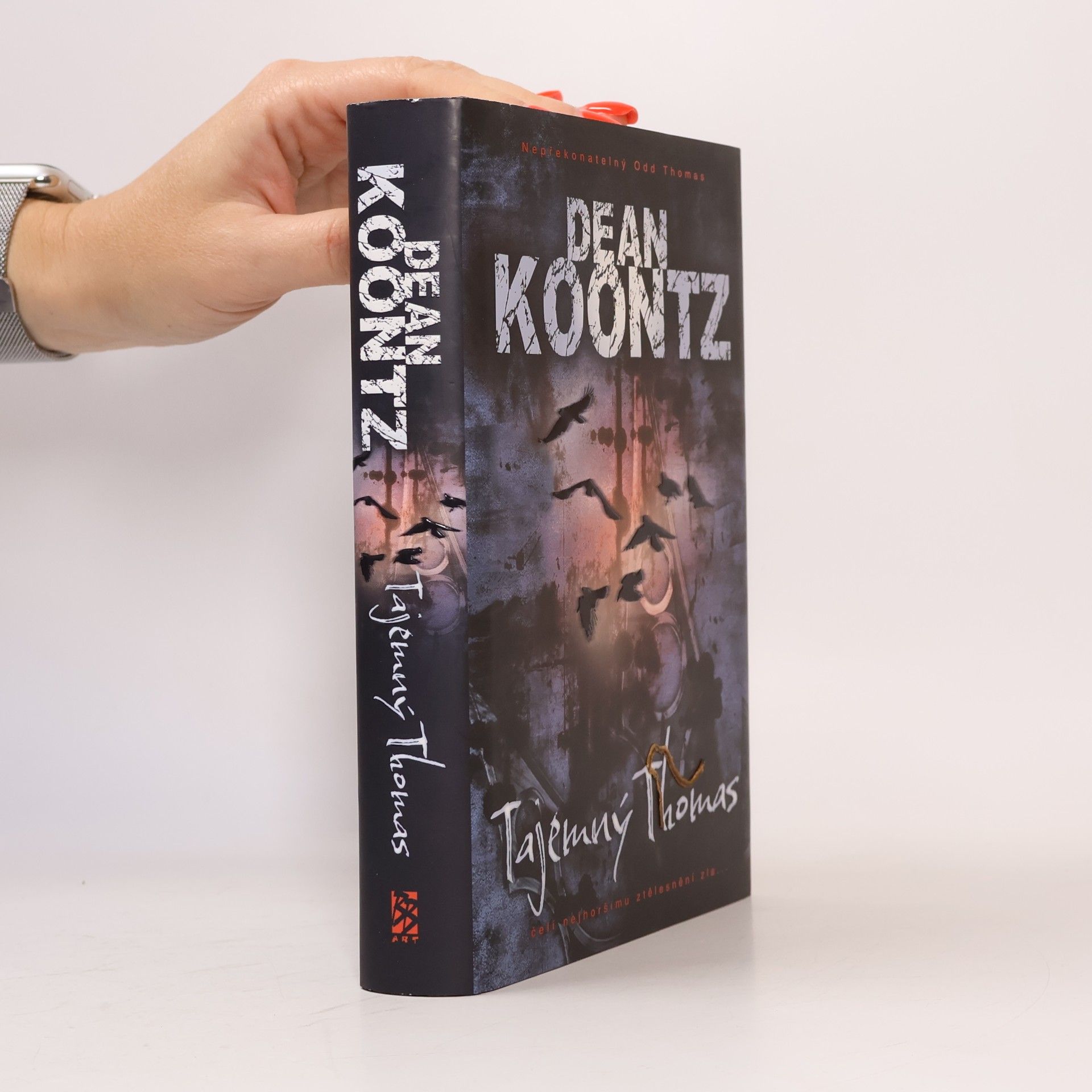 Dean Ray Koontz Tajemný Thomas