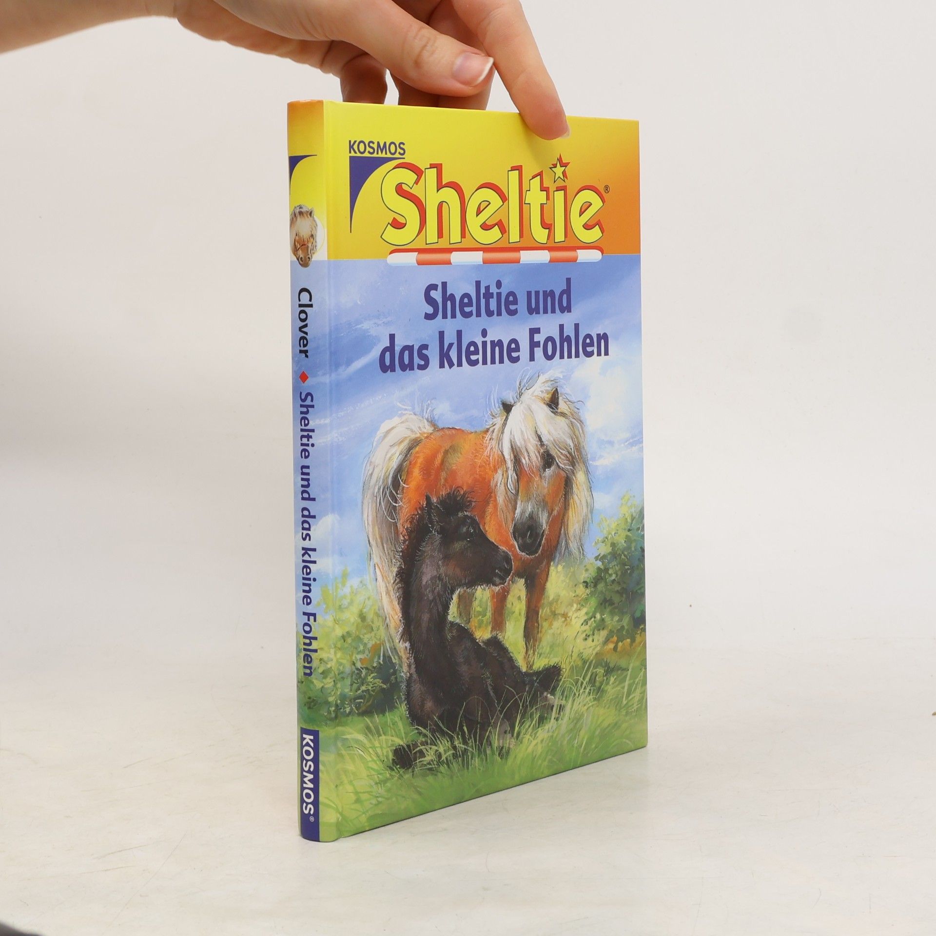 Sheltie und das kleine Fohlen