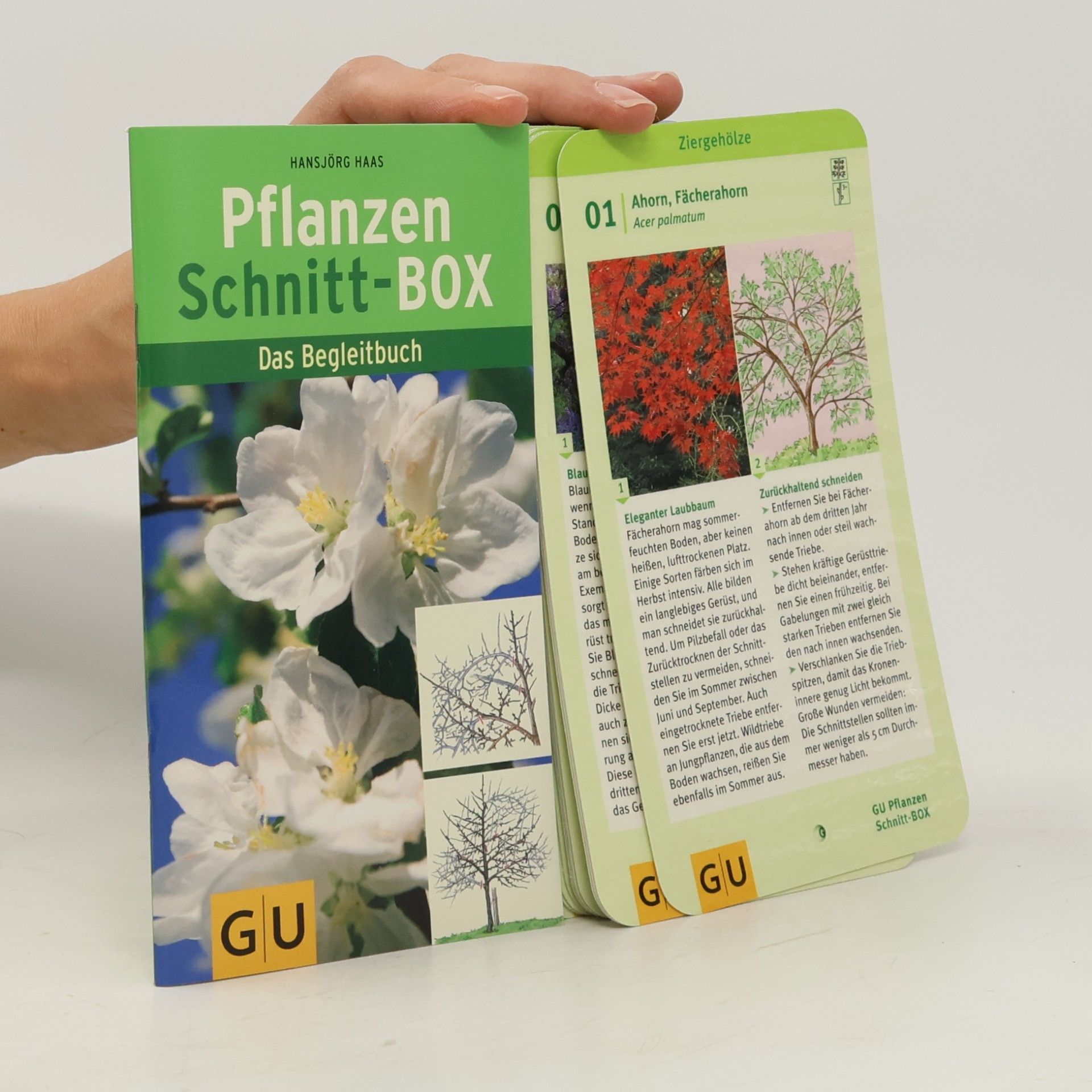 Hansjörg Haas Pflanzen-Schnitt-BOX