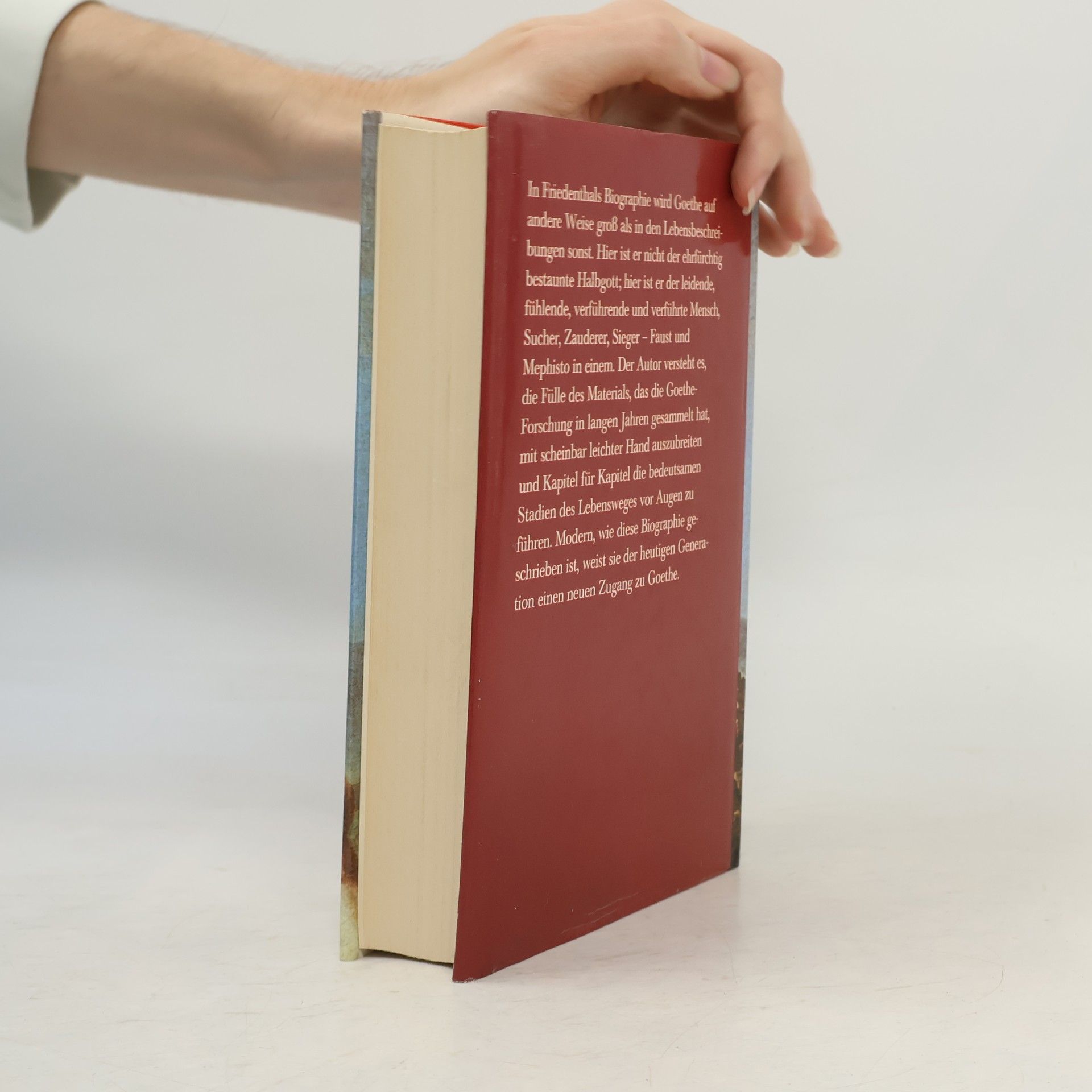 Rihard Fridental Goethe. Sein Leben und seine Zeit
