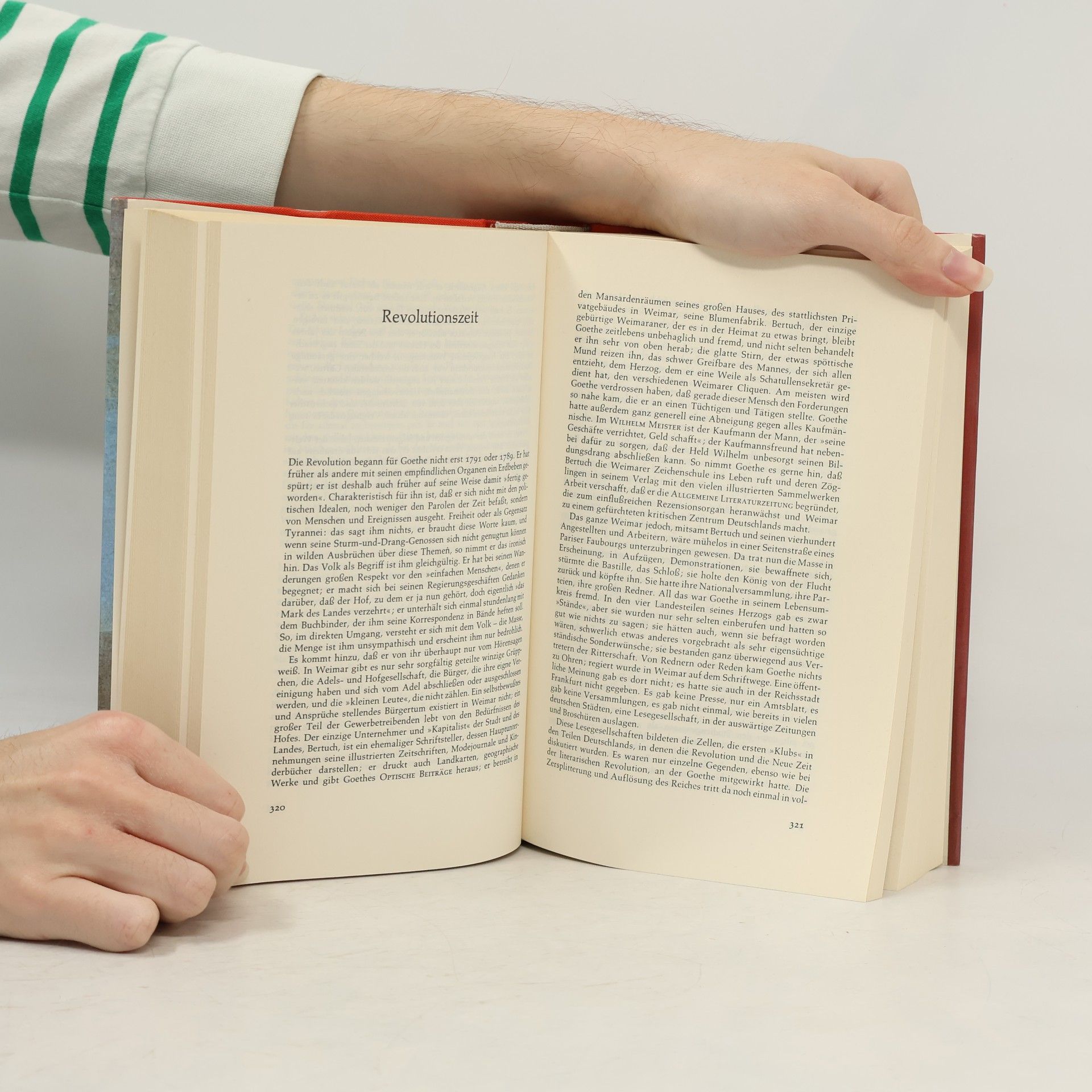 Rihard Fridental Goethe. Sein Leben und seine Zeit