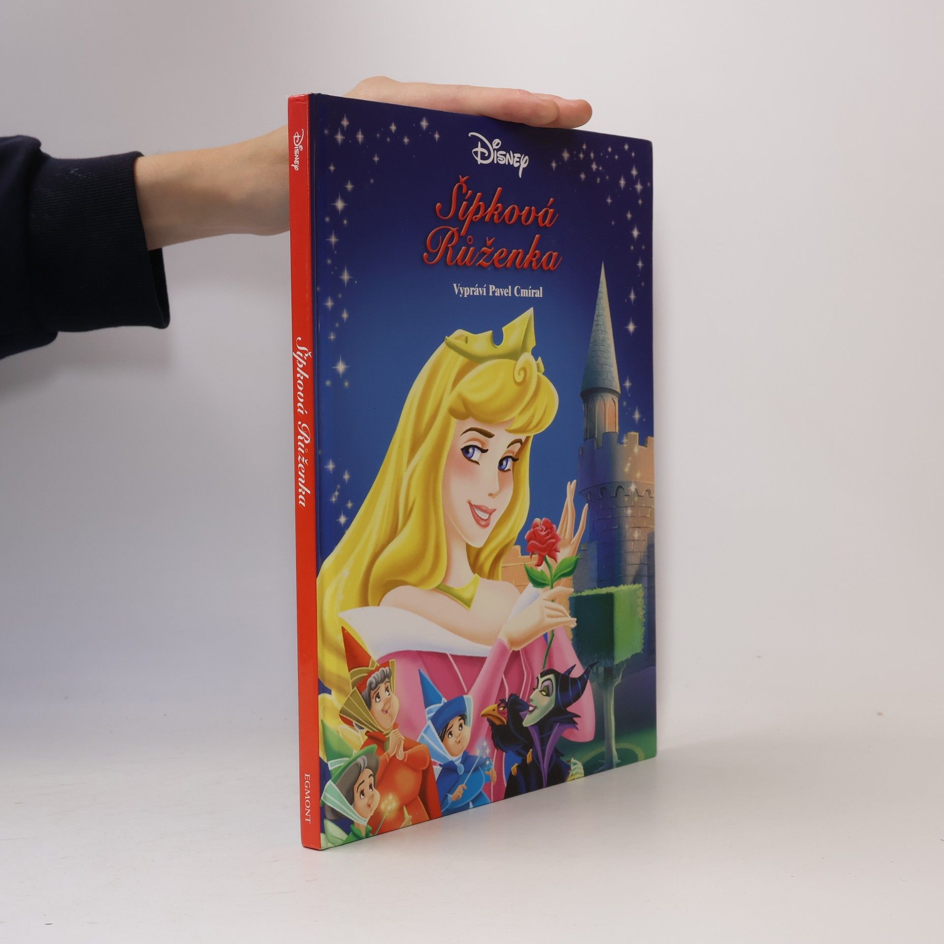 Walt Disney Šípková Růženka