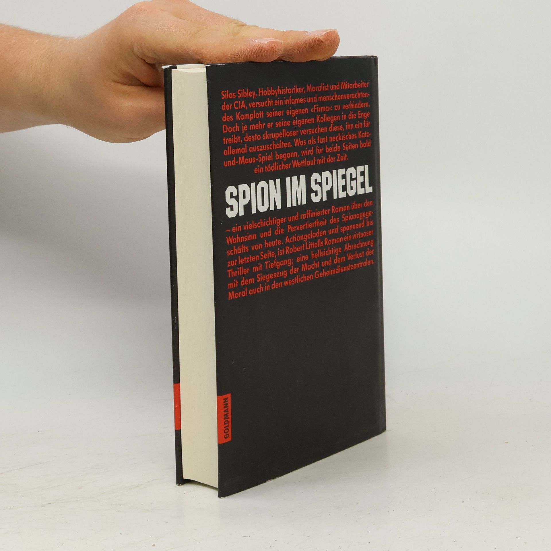 Robert Littell Spion im Spiegel