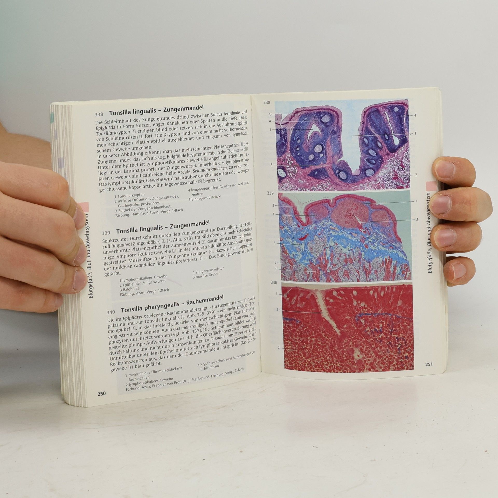 Wolfgang Kühnel Taschenatlas der Zytologie, Histologie und mikroskopischen Anatomie